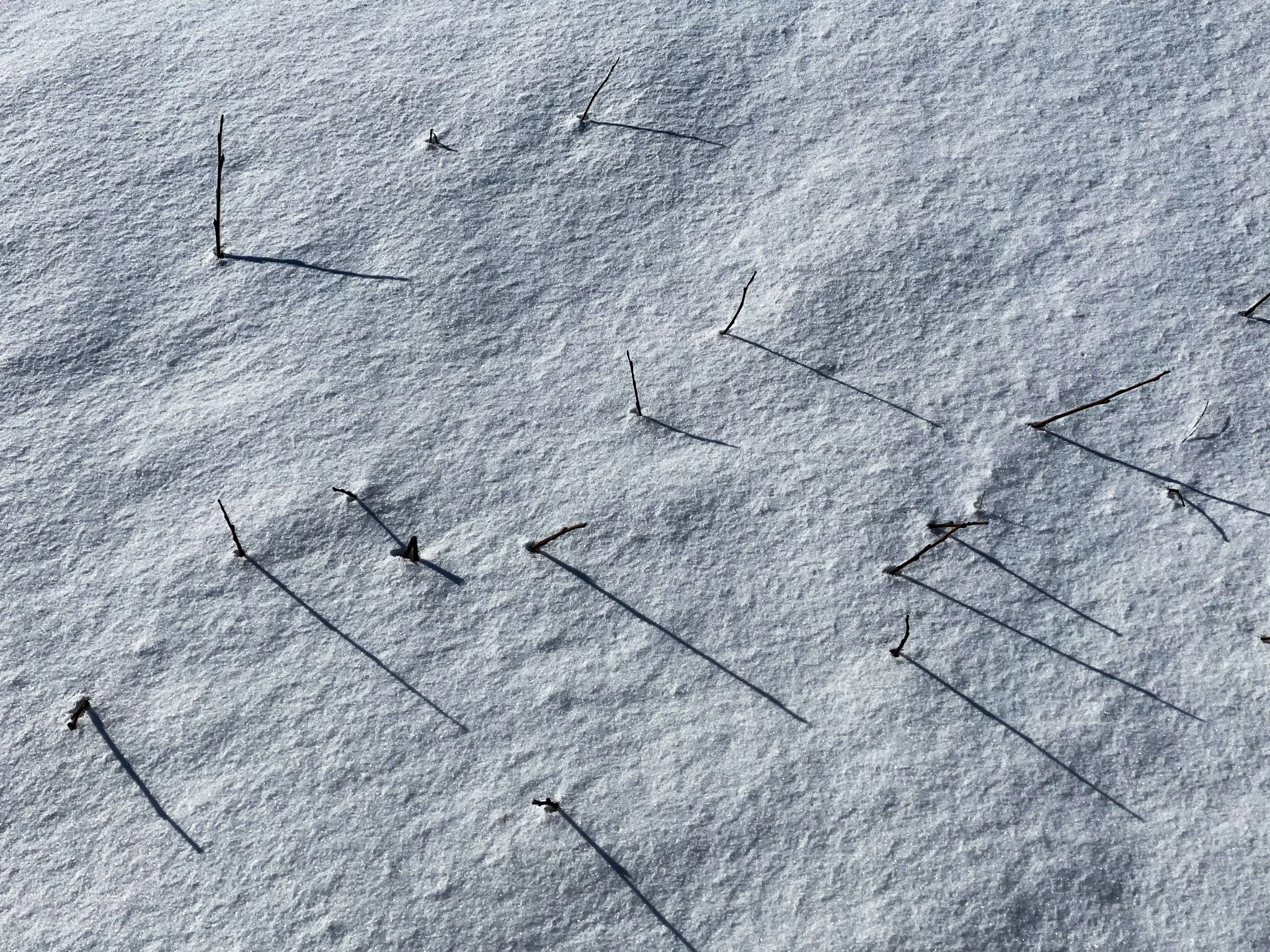 Weather O'Clock || Alftanes, Iceland