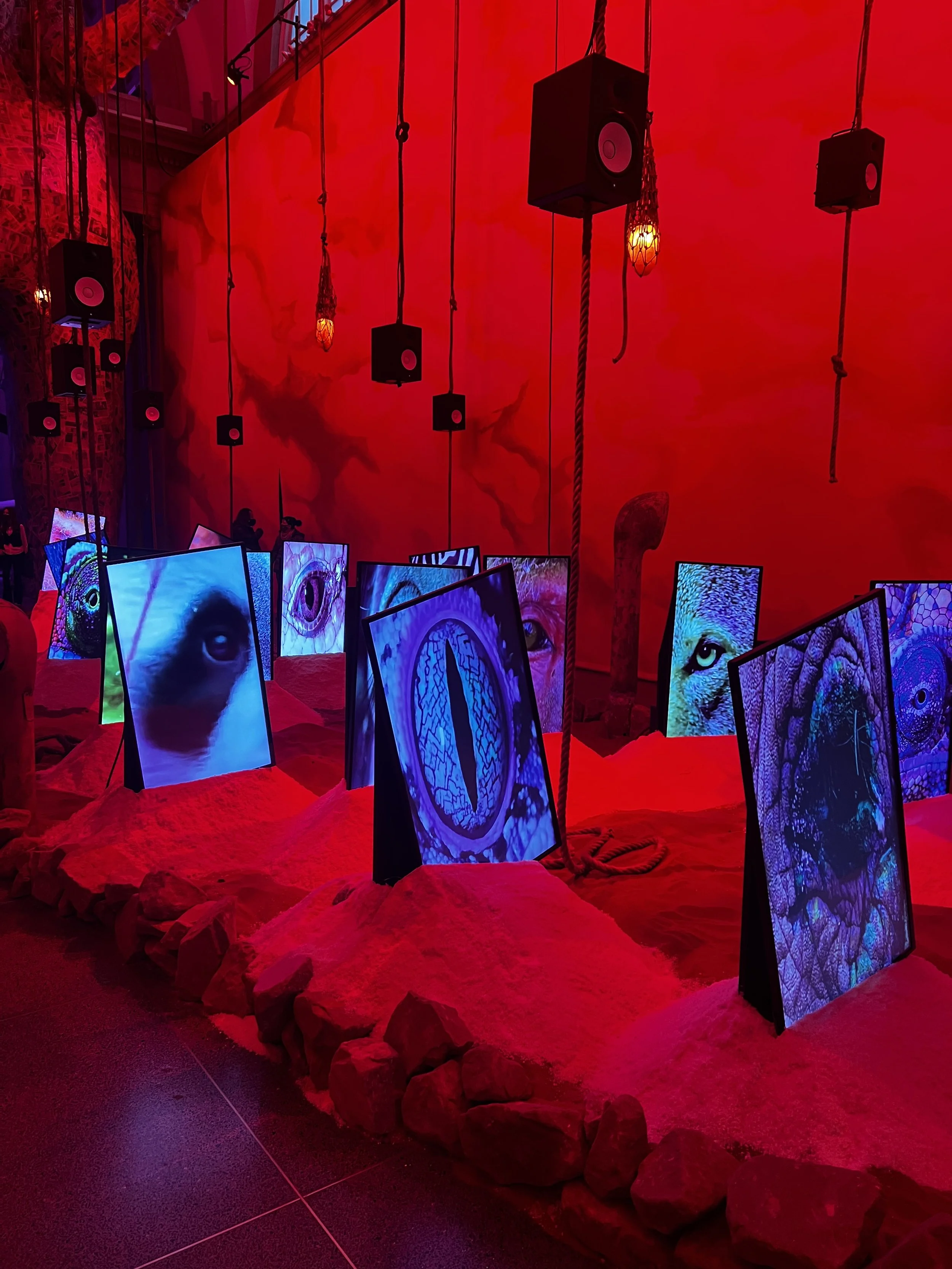 Eco photography Tate