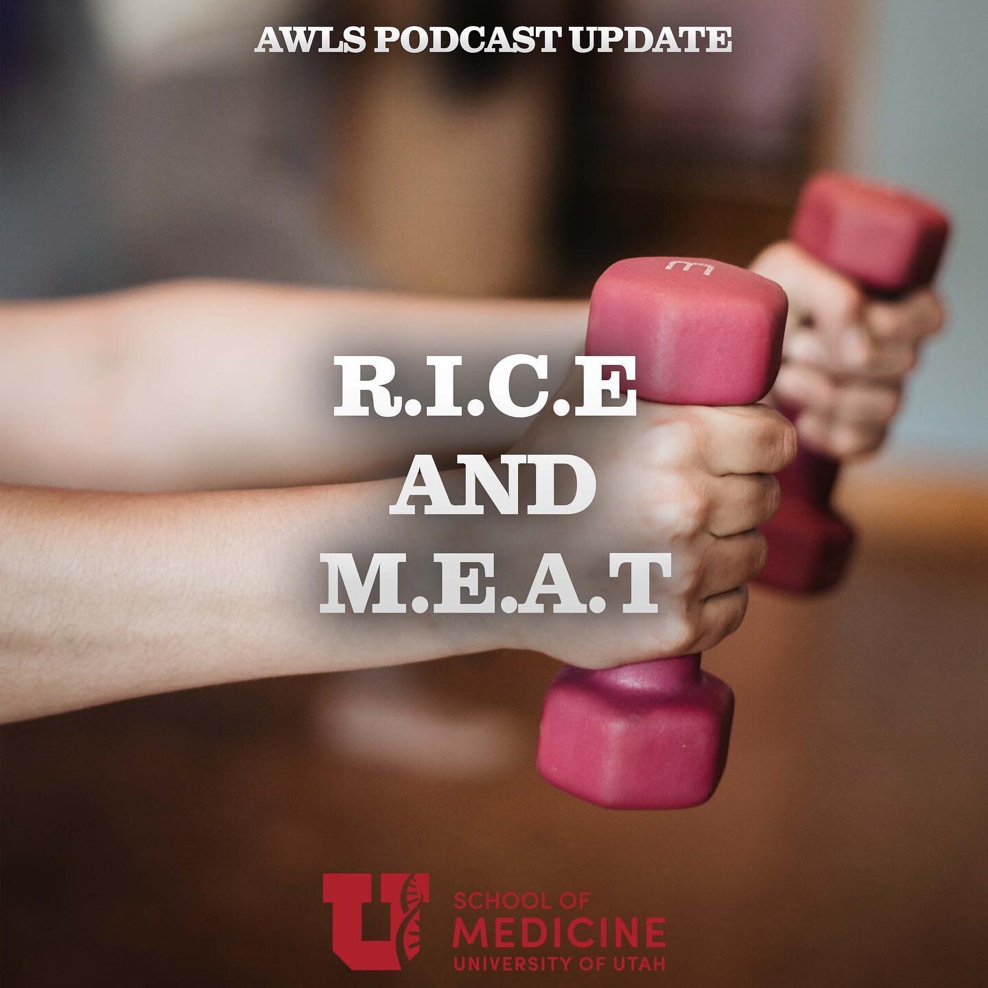 For years we have all used RICE therapy for treatment of athletic injuries. But now MEAT is becoming the preferred therapy. What do we do in the wilderness for these types of injuries? This update looks at the issues.

Listen to our AWLS podcasts whe