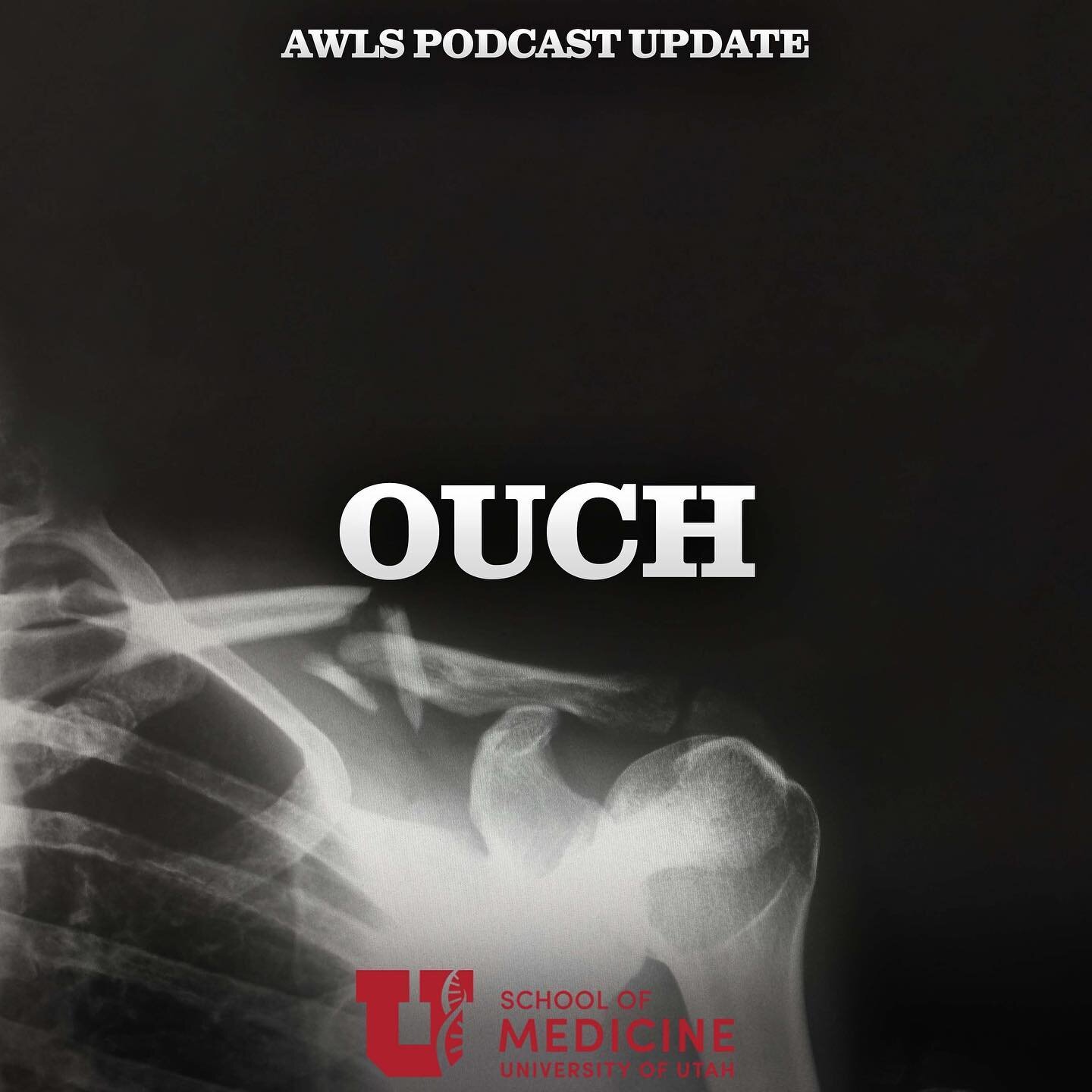 We all know what &ldquo;Ouch&rdquo; means - something hurts. &nbsp;Pain at home may be a big nuisance. &nbsp;But pain in the backcountry is always a bigger problem. &nbsp;How do we evaluate and manage pain in the wilderness? &nbsp;The answers will su