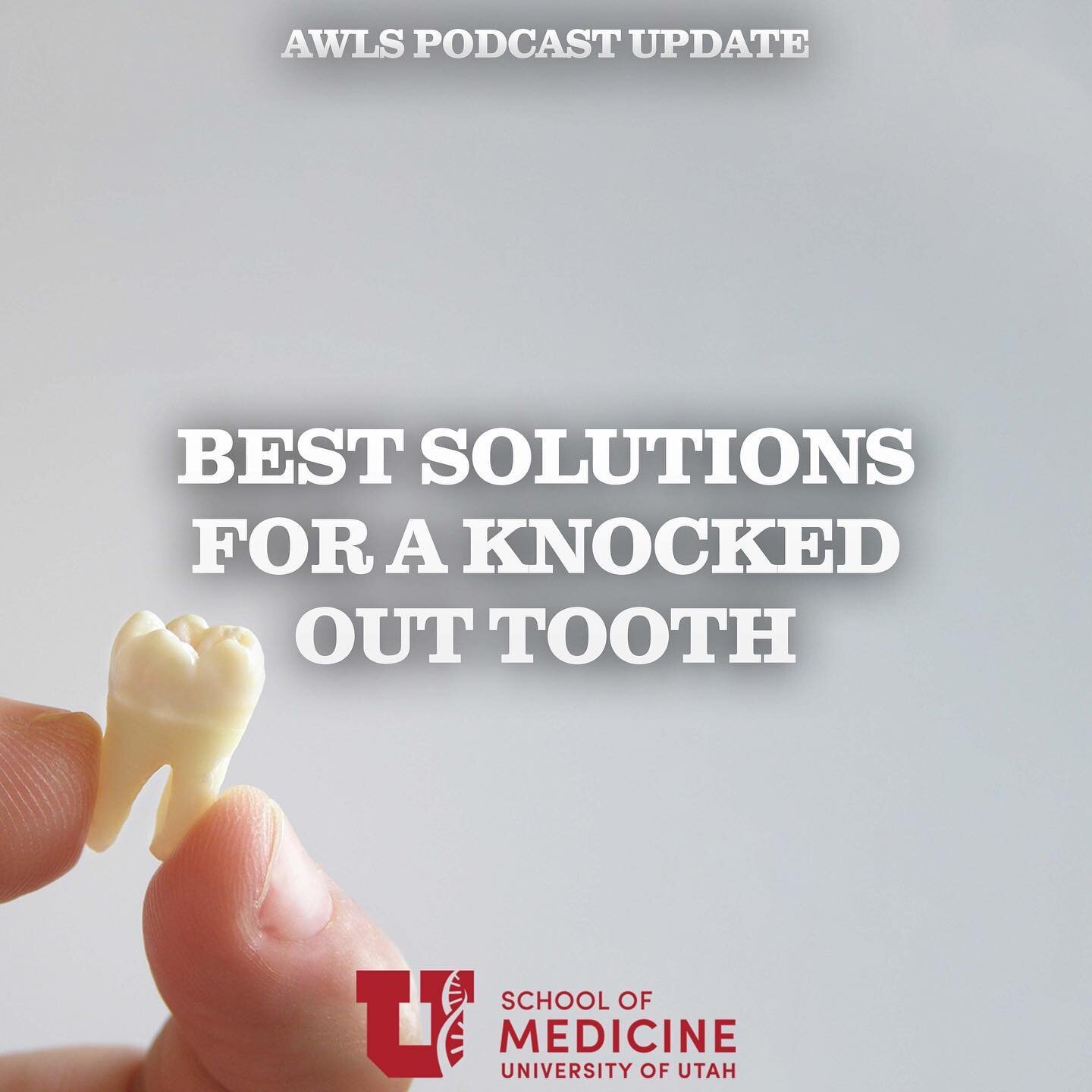 Yikes! A tooth has been knocked out.&nbsp; Once you find it, what liquid should you put it in while you go to the dentist?&nbsp; Listen as wilderness dentist, Dr. Paul Schmutz, gives us the latest data on the best solution for the knocked out tooth.
