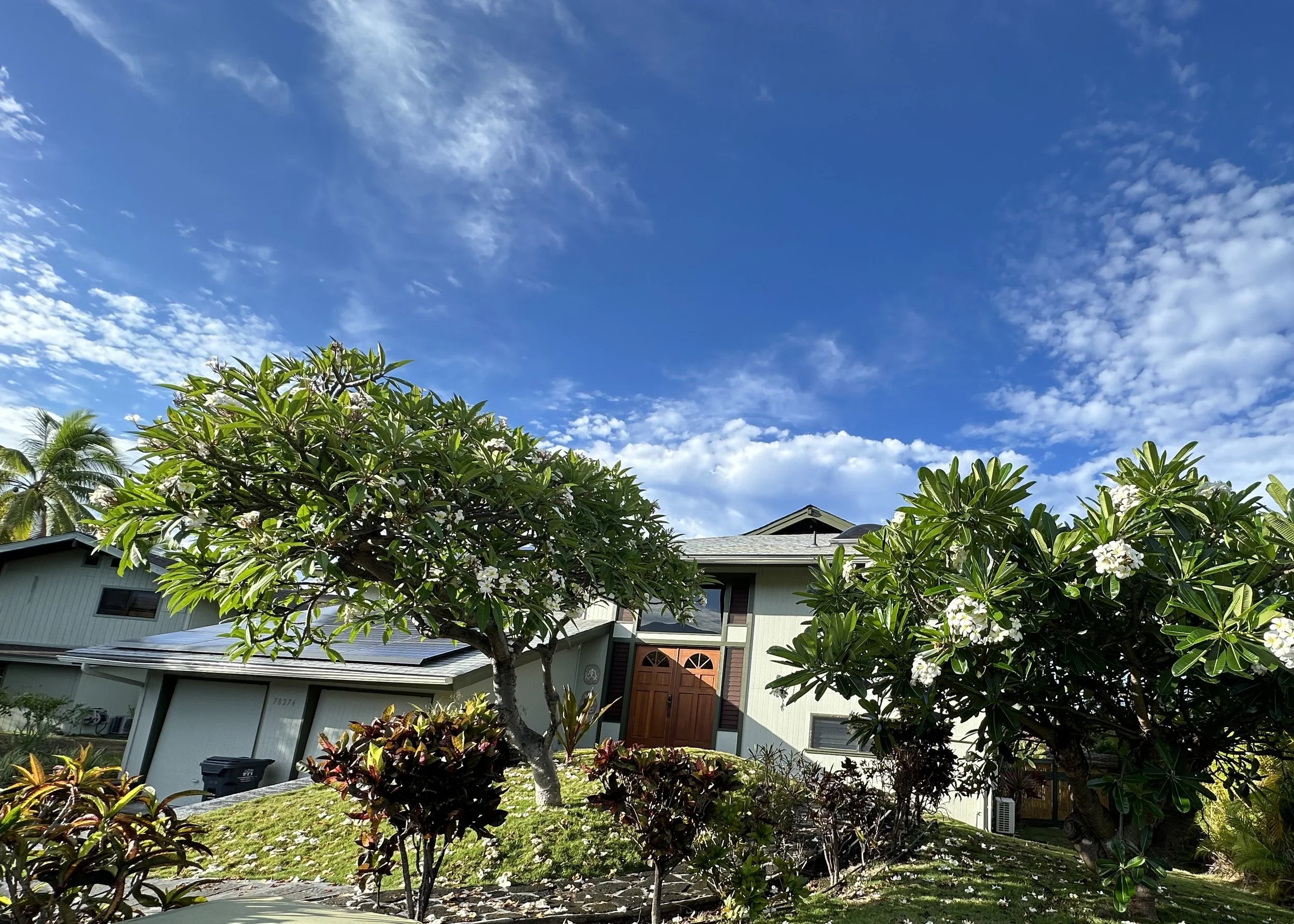 A suburban house with a manicured yard, trees, and flowering plants under a blue sky with scattered clouds.