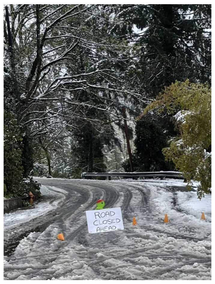 Photo of a winding road through a dense forest with melted slushy snow filled with tire tracks and small orange cones across it with a white sign reading 'road closed ahead'.