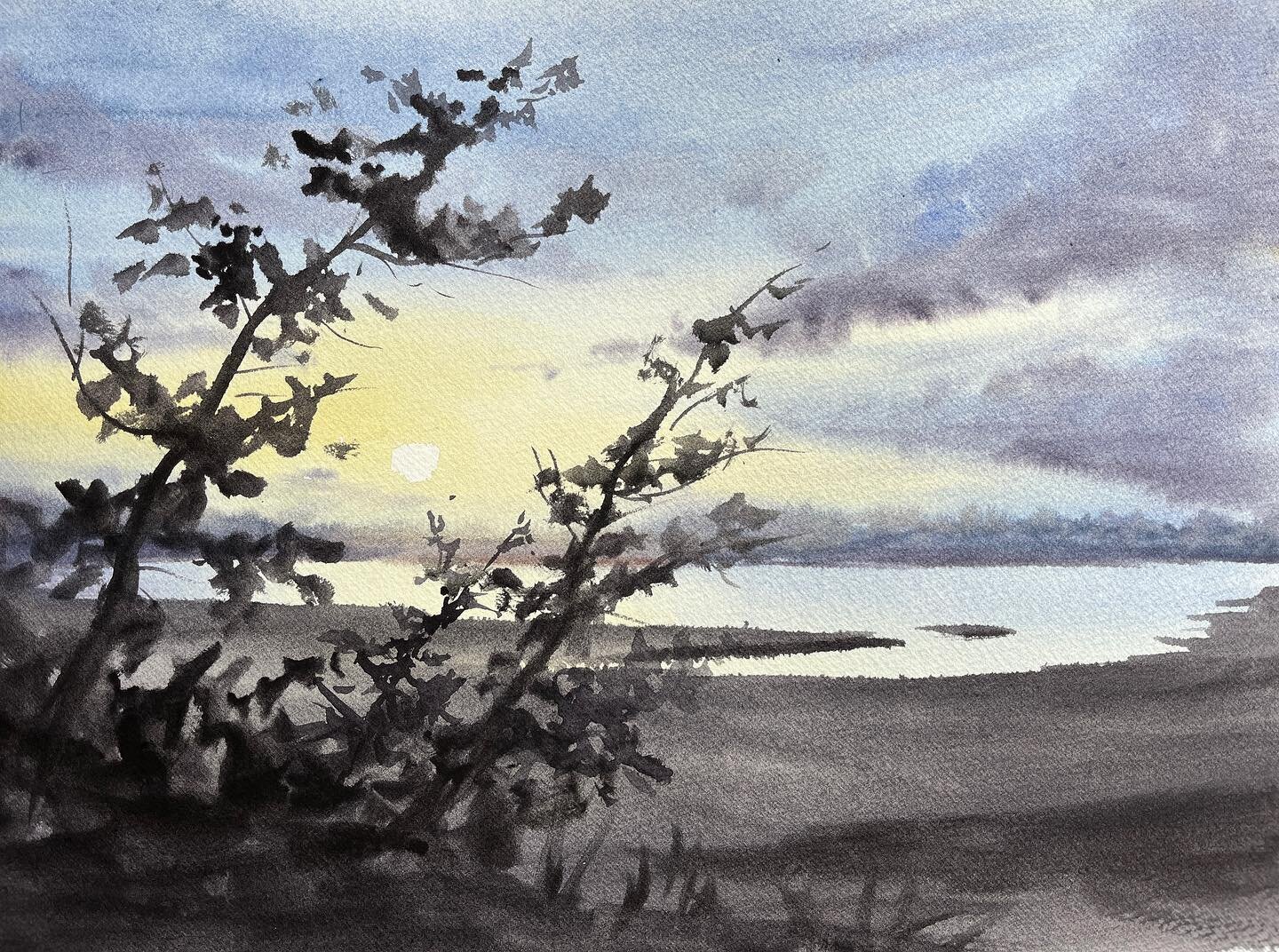 Moonlight with #danielsmithartistmaterials #lavender #watercolourtwilight