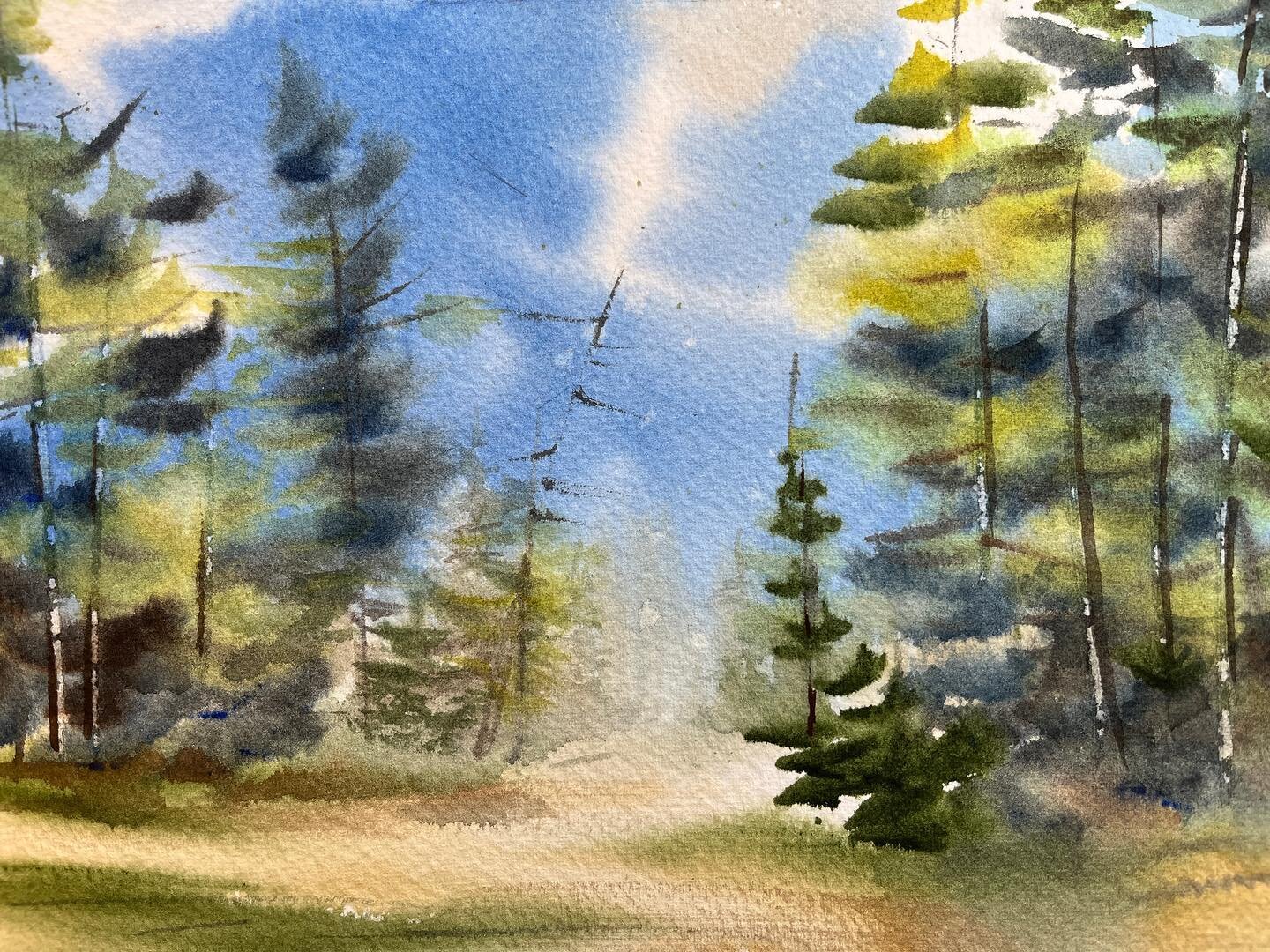 Loose forest painting. This and many of my watercolours will be for sale @coldwaterareastudiotour on June 24th and 25th. There will be 32 artist to see!