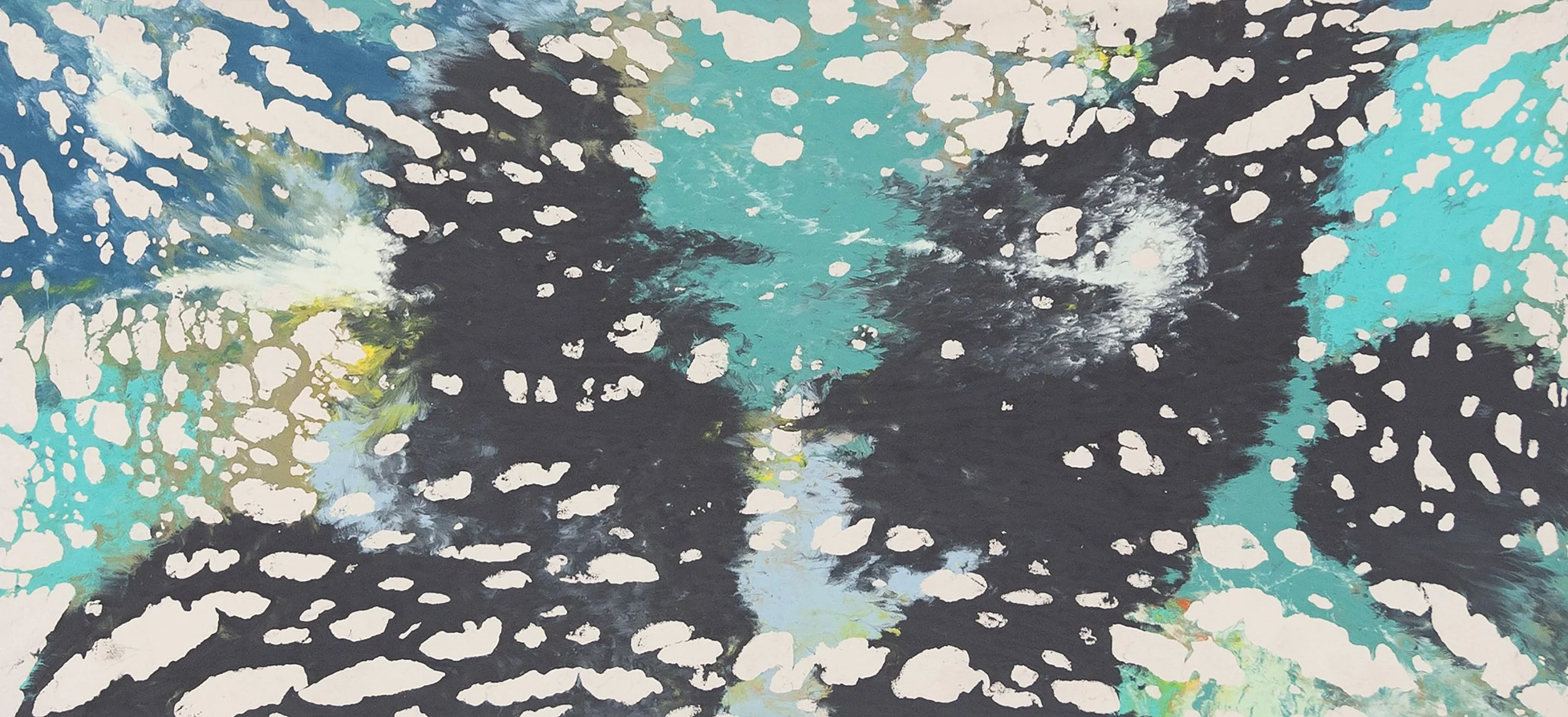 A740 43 x 94 Crop.jpg