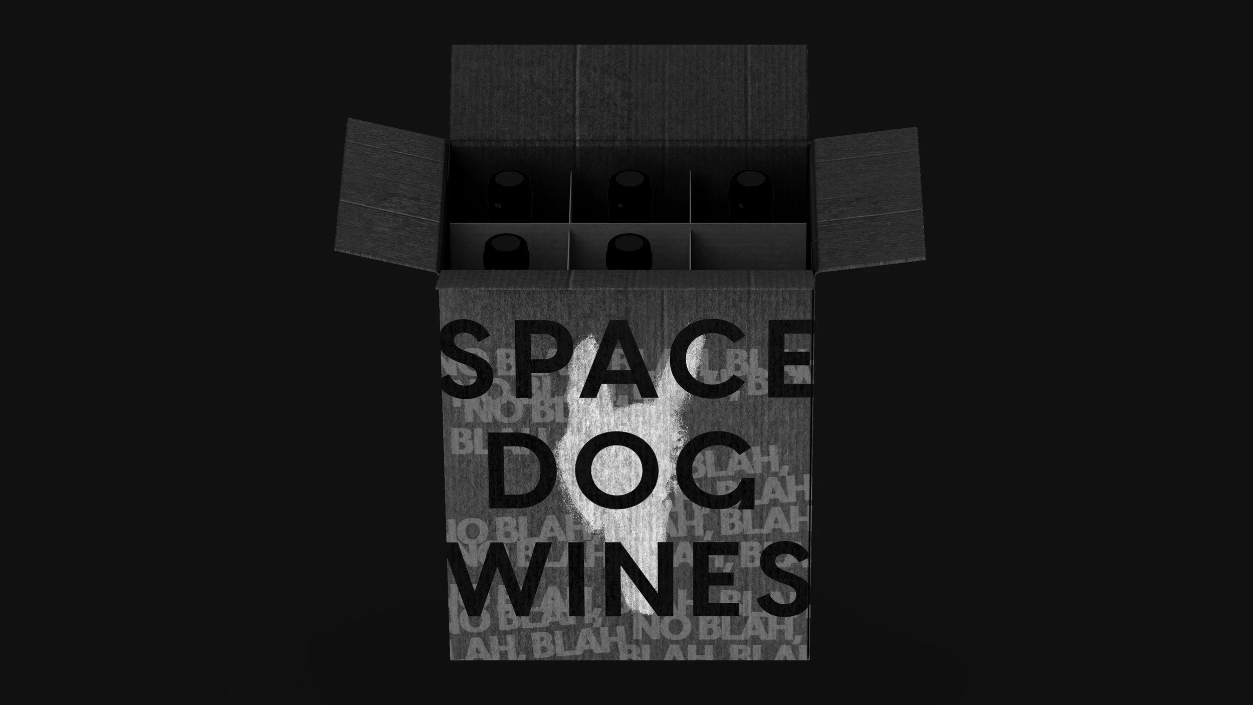 Spacedog-Box No blah blah Logo.jpg