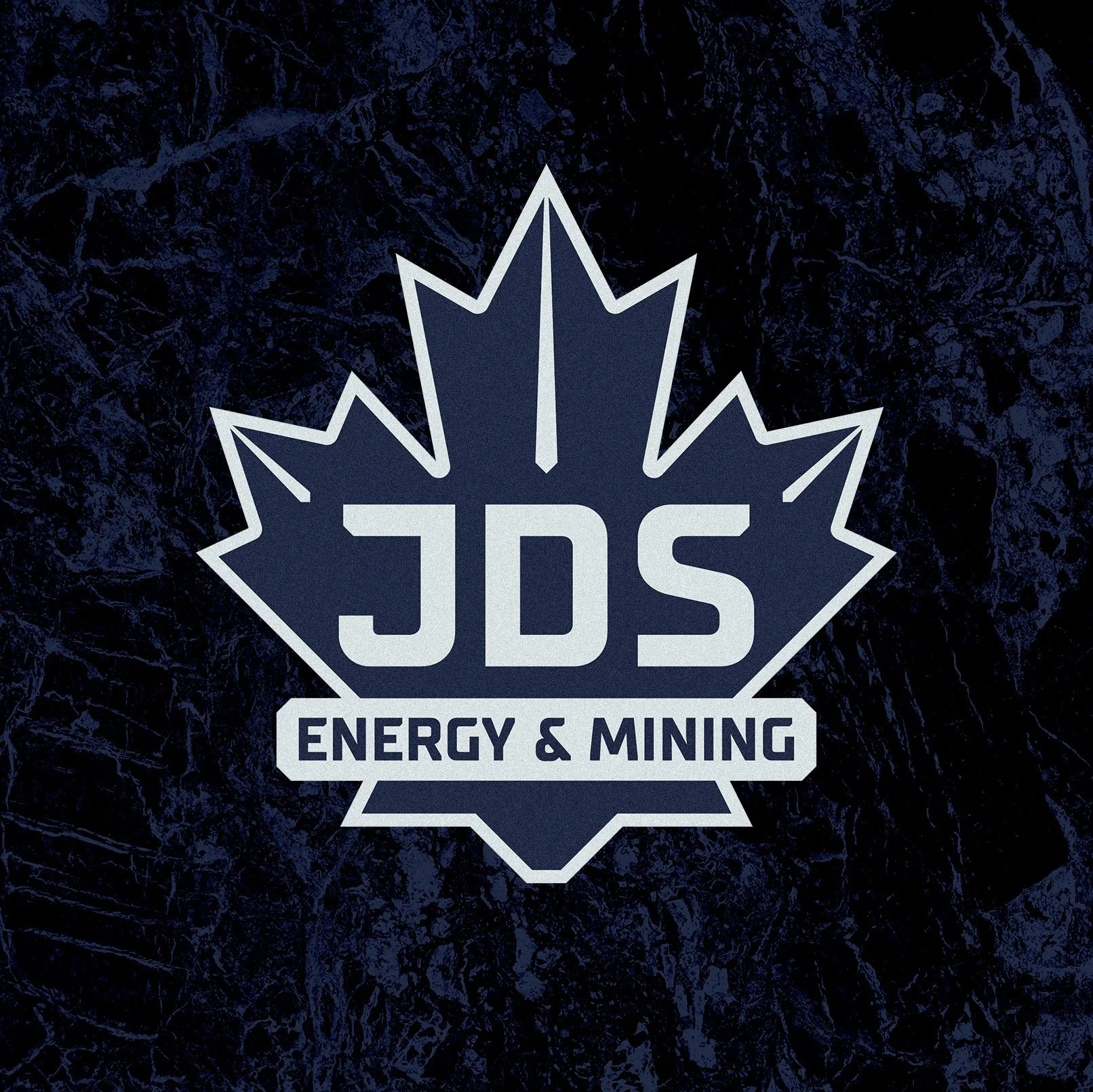 JDS Energy & Mining