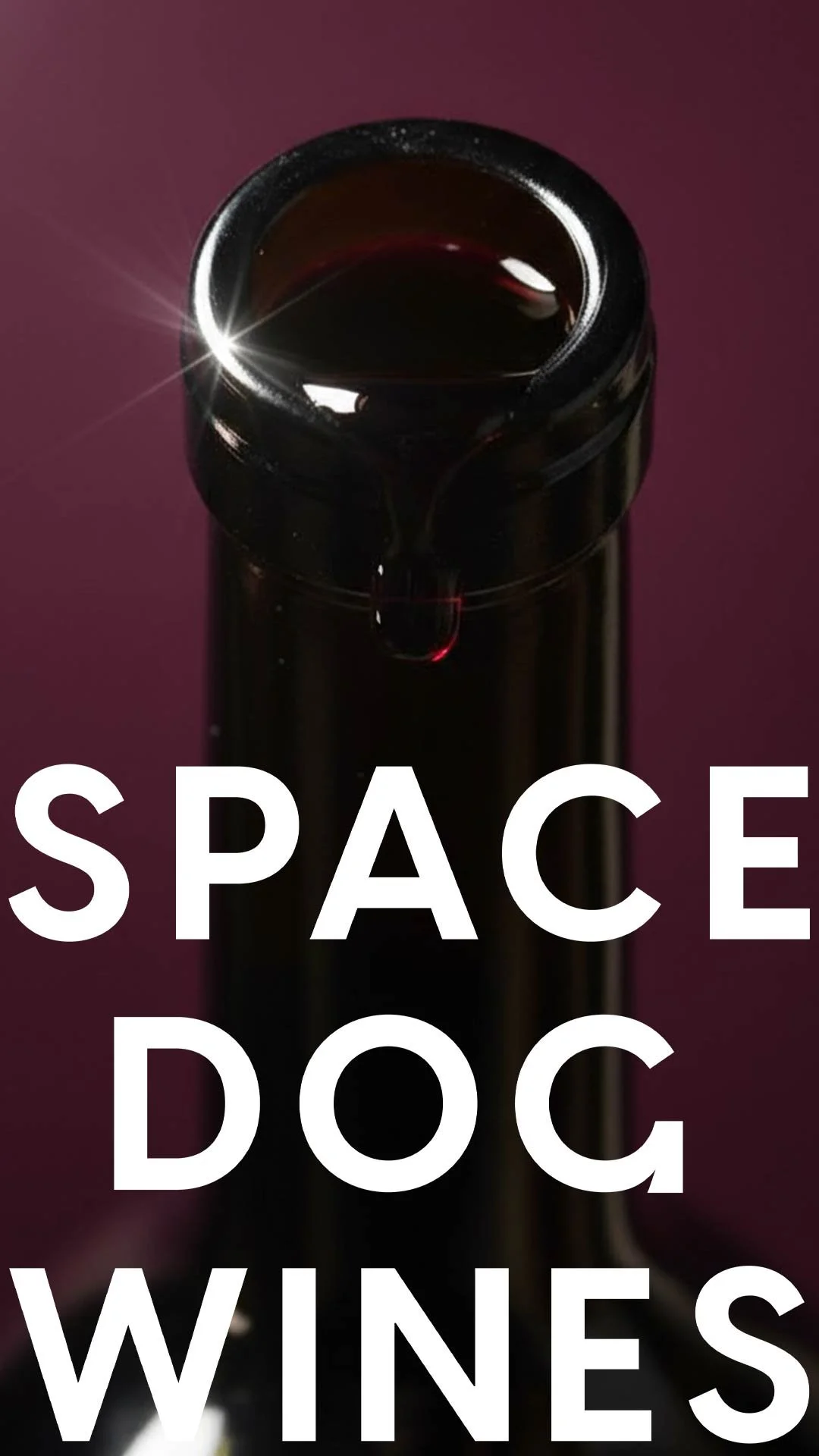 Spacedog-social-media-1080x1920_03.jpg