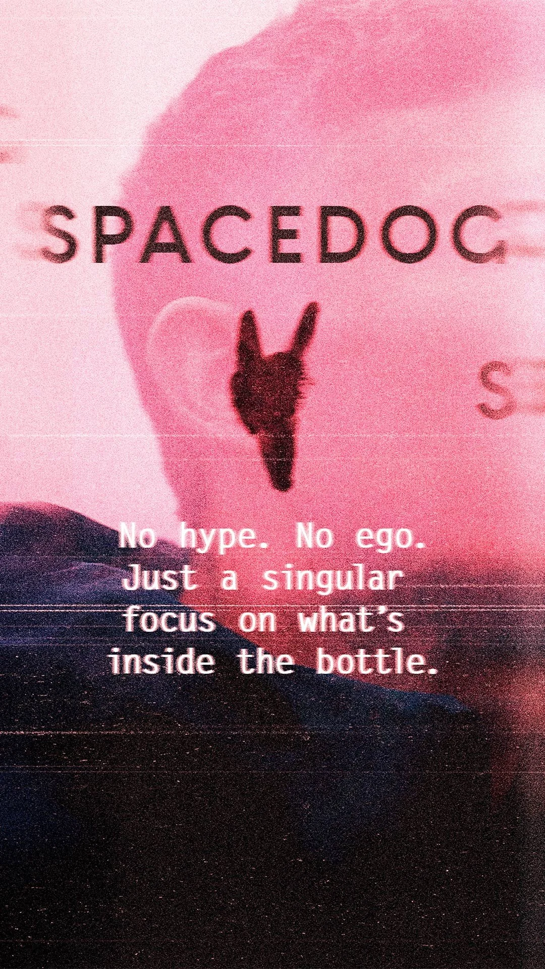 Spacedog-social-media-1080x1920_04.jpg