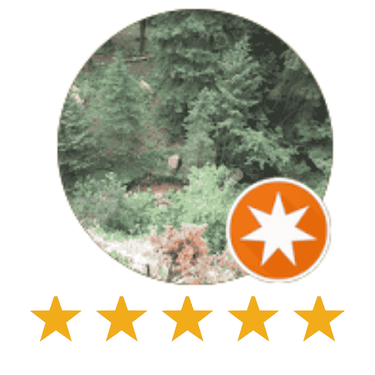 5 Stars Dru Dzwonczyk.png