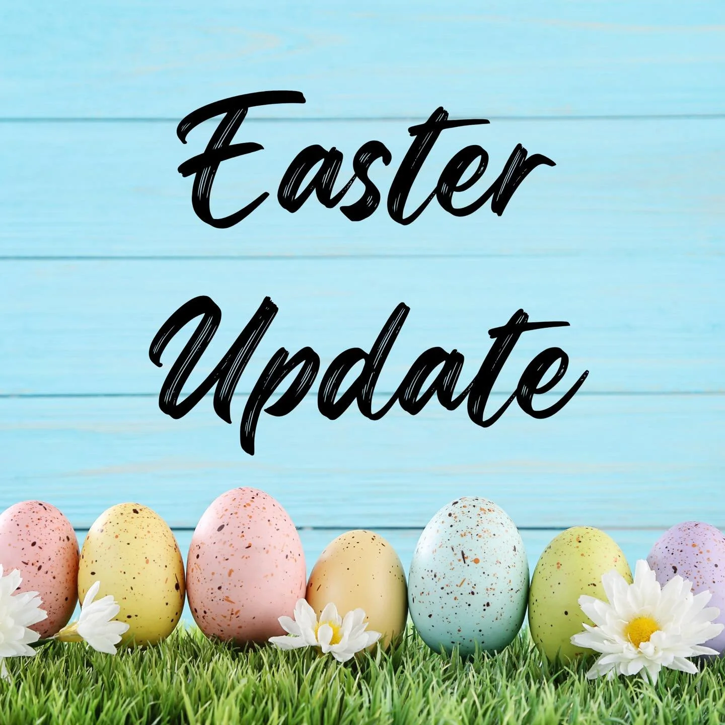 Hey all! Quick Easter update. I am not going to be able to do an Easter Presale like I had hoped. My mutual aid volunteer work has ramped up again, plus it is my daughter's birthday the Friday before, so I have to recognize I can't do it all and that