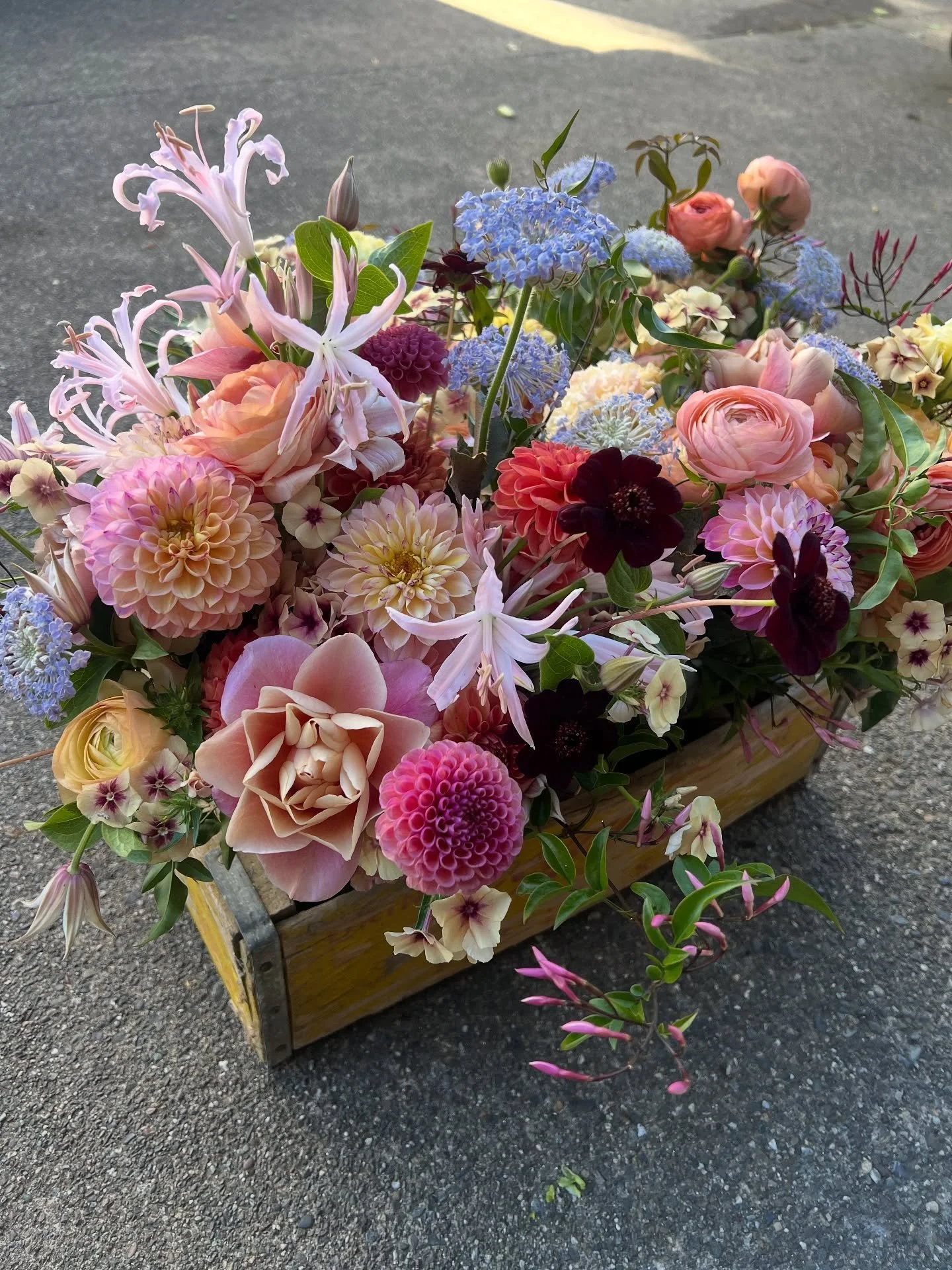 Studio scenes from late summer to fall. Grateful for these juicy color palettes! And the abundance of local, organic beauty from our farmer friends 🫶🏼