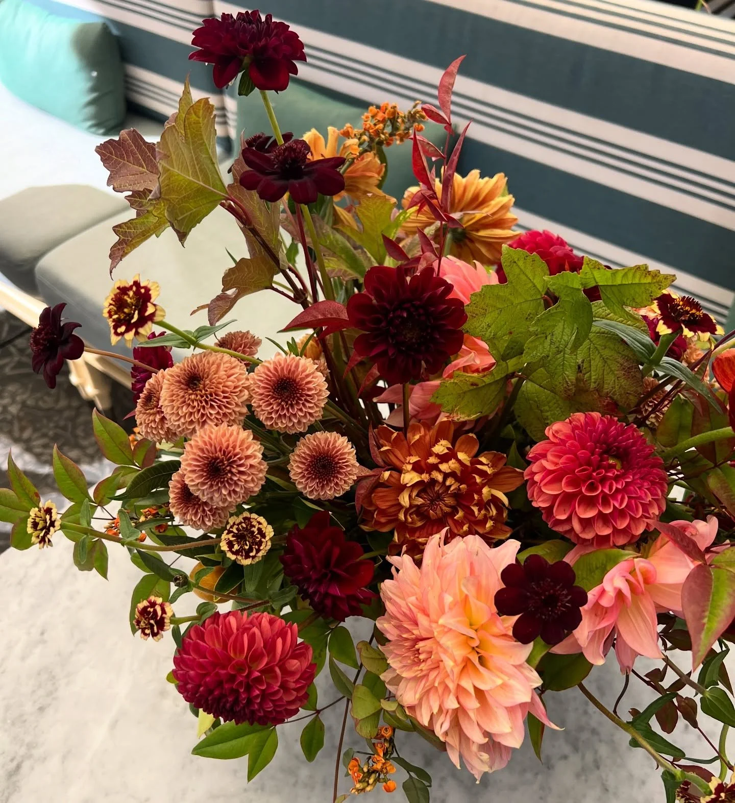 Some fall color on this gray day. Signing off to spend time with family in the woods 🍂✨ Happy Thanksgiving to you and yours!