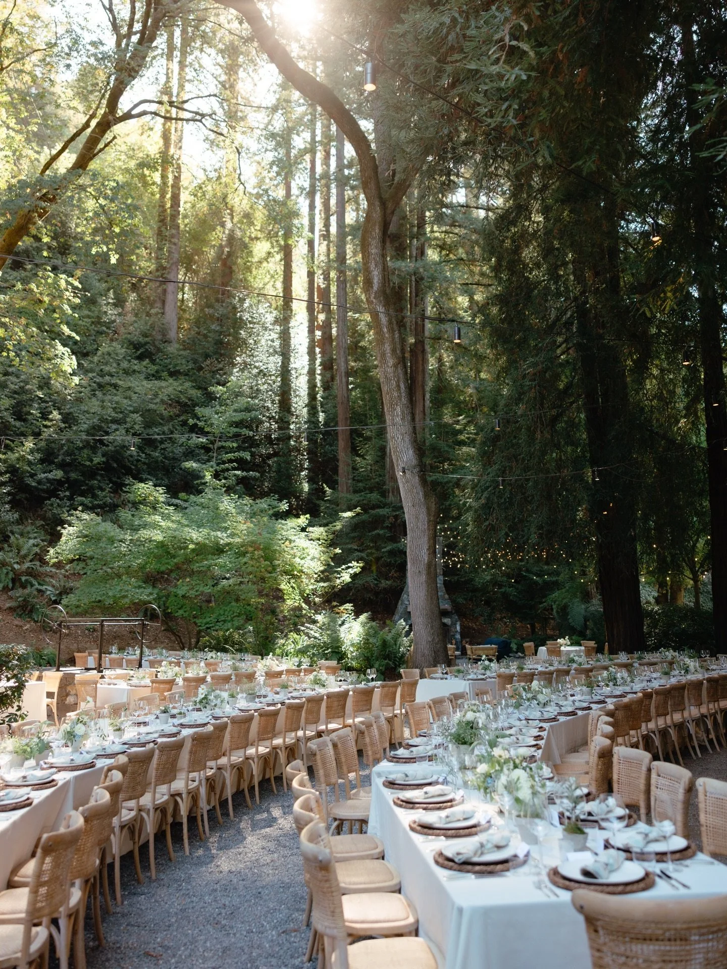 It&rsquo;s hard to beat dining under the redwoods right here in west Marin ✨ such a stunning setting for Amelia + Albert&rsquo;s reception captured beautifully by @bridgetrburnett. 

Planning &amp; Design: @willaviaweddingco&nbsp;
Photographer: @brid