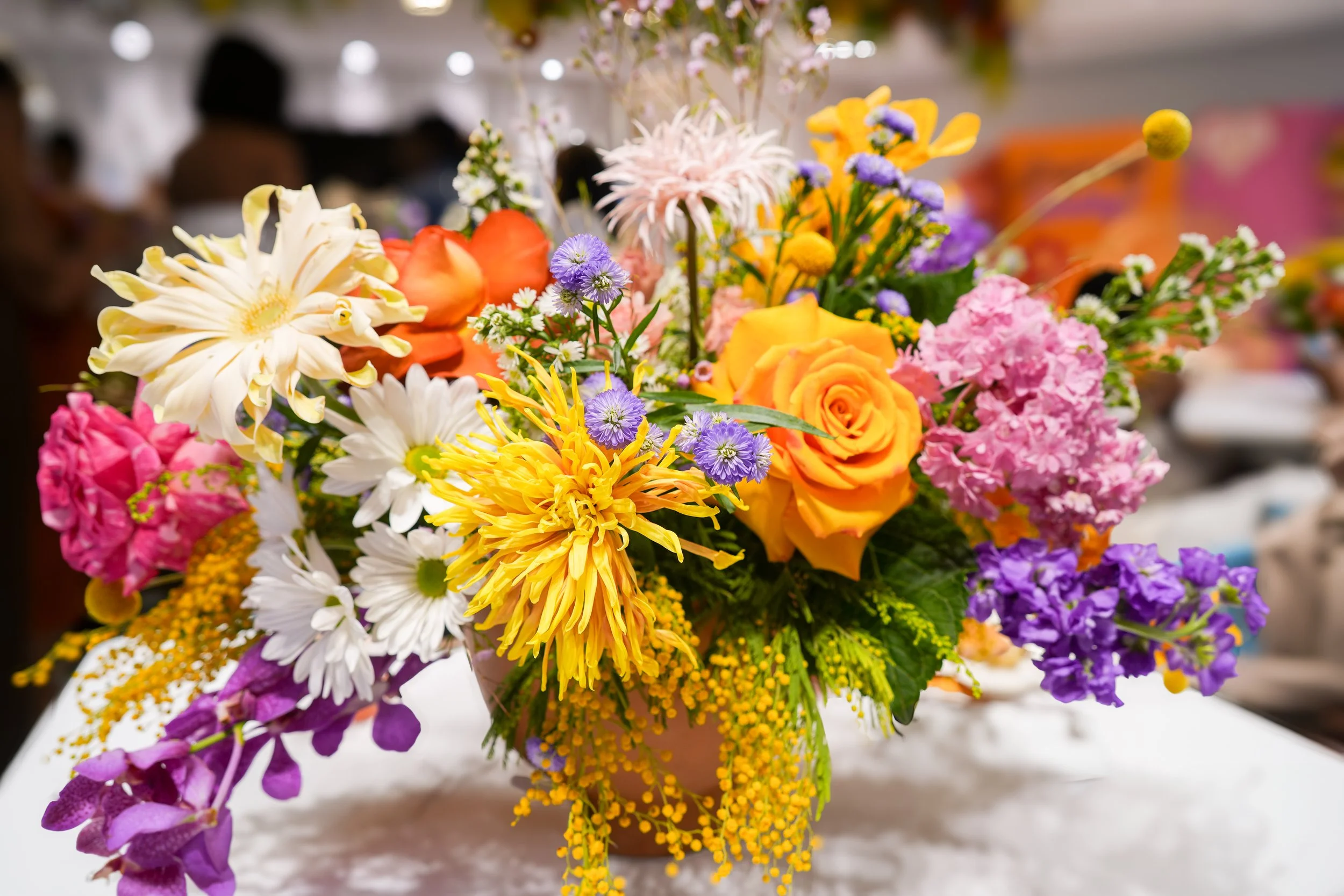 DSC01838-Edit.jpg
