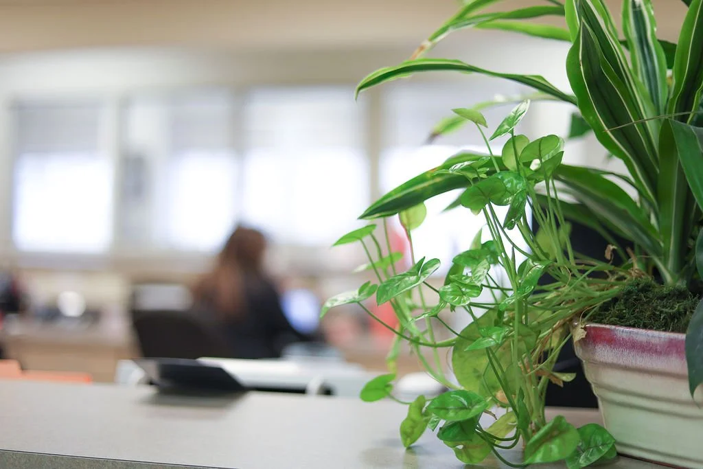 About Us — Rheumatology Consultants, PLLC