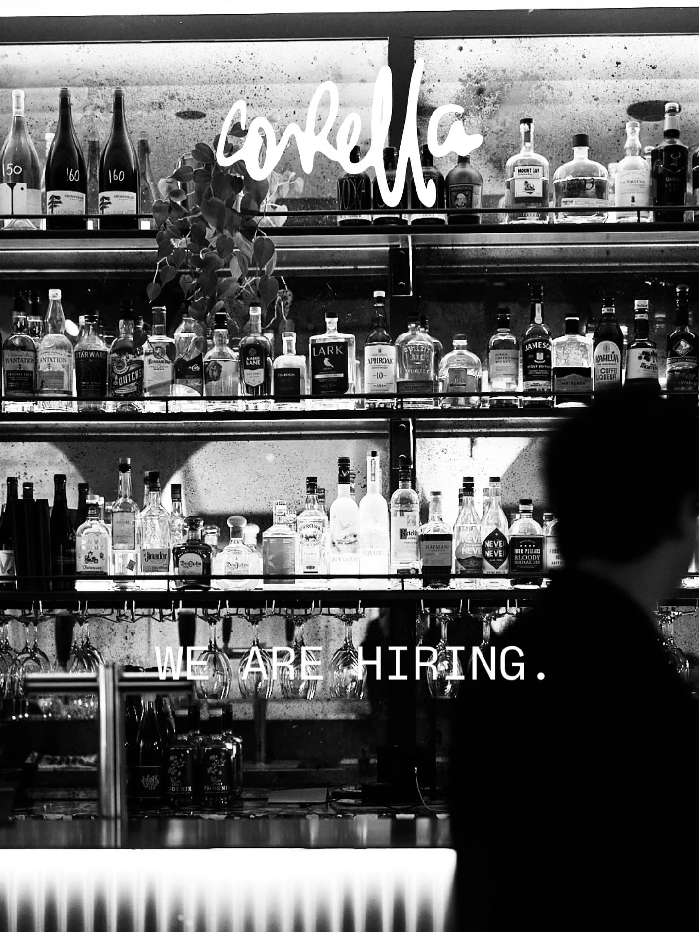We&rsquo;re looking for friendly faces to join our Front of House team! No experience needed &mdash; just a great attitude &amp; eagerness to learn.

To apply send your resume to hello@corellabar.com.au