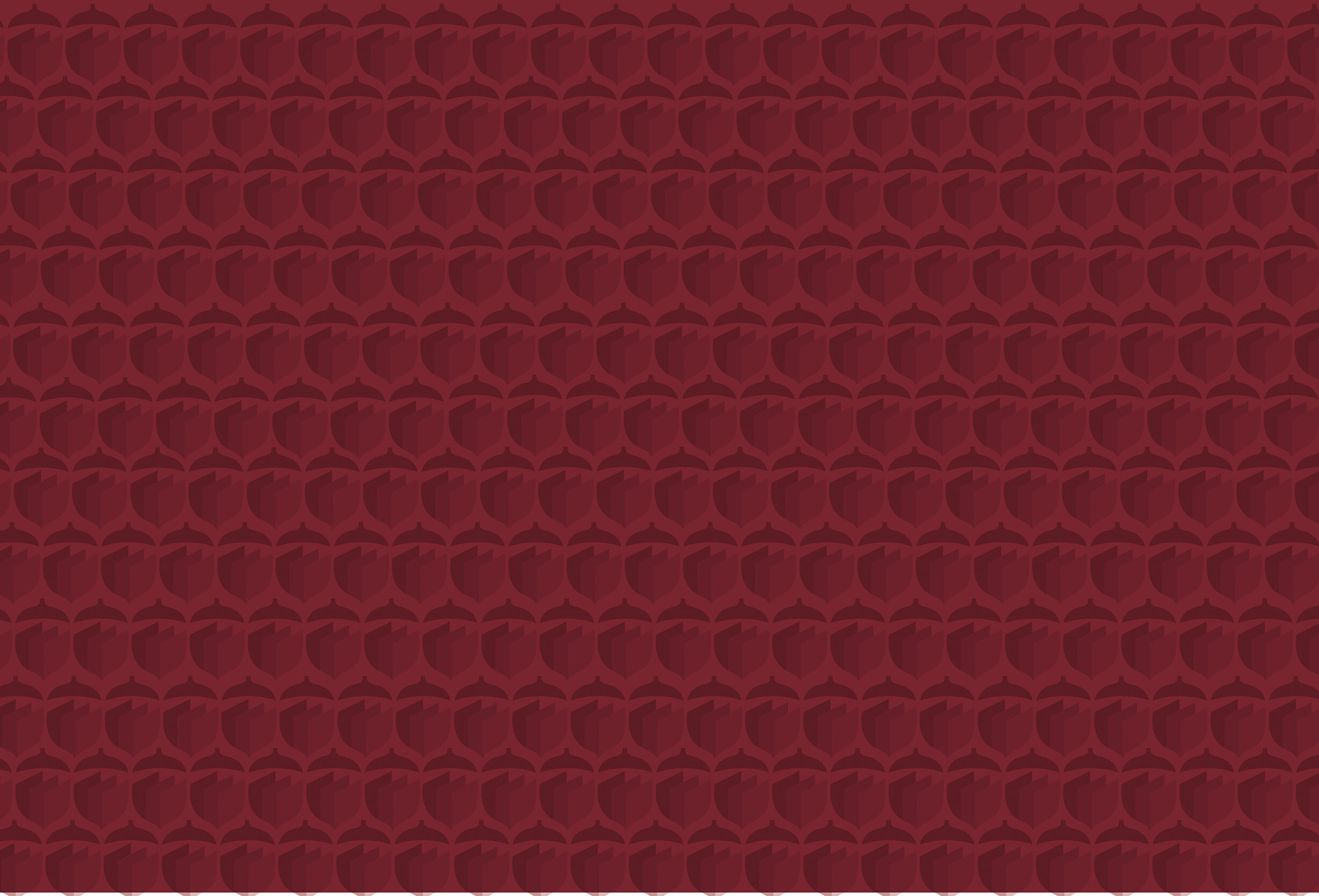 Nutshell Accounting pattern v1 sm.jpg