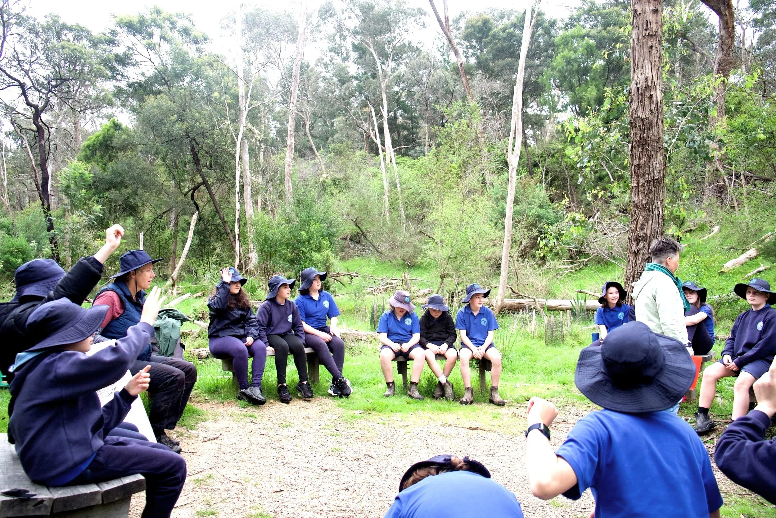 2022 Panton Hill Primary School Grade 6 Southern Toadlet Soundscape