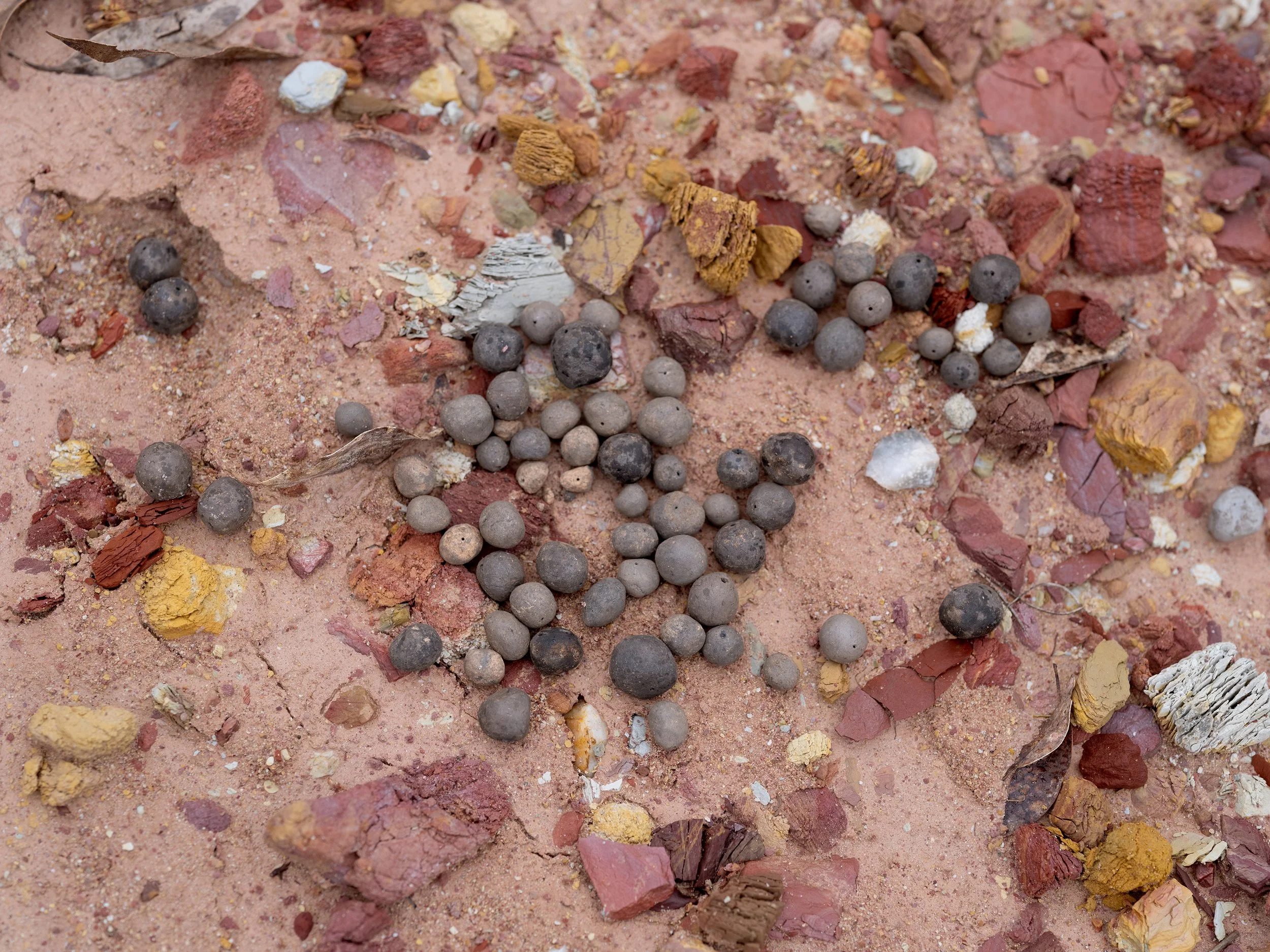 Creswick Claypit 18.jpg