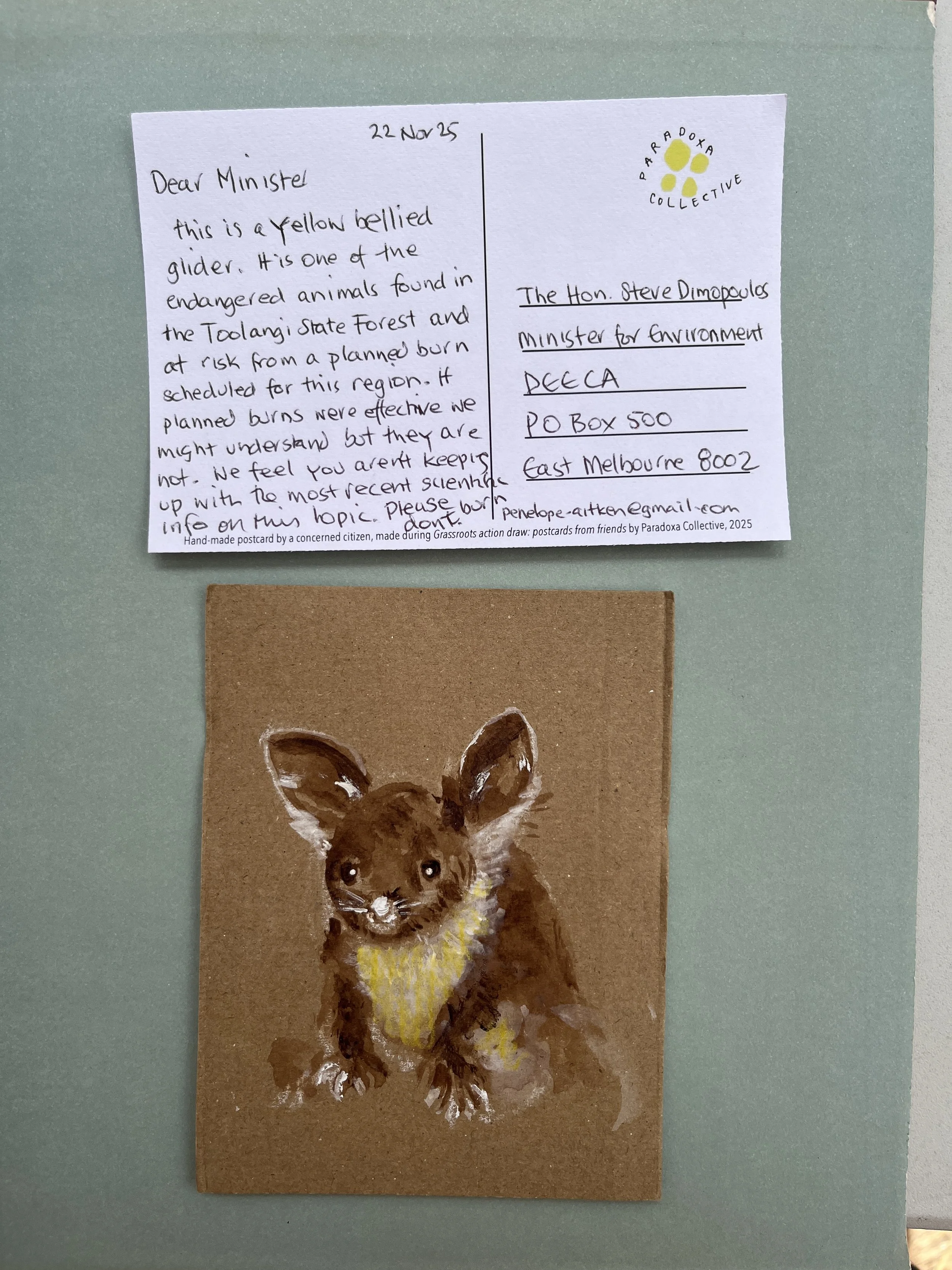 yellow bellied glider postcard and text asking to save it