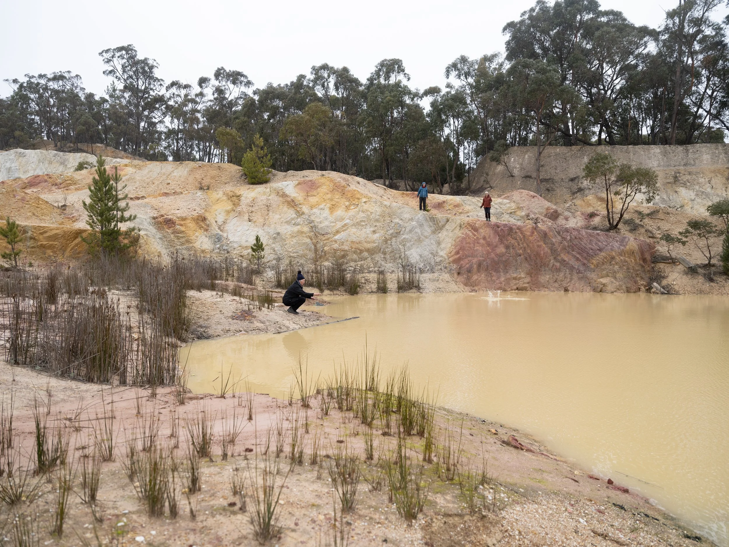 Creswick Claypit 17.jpg