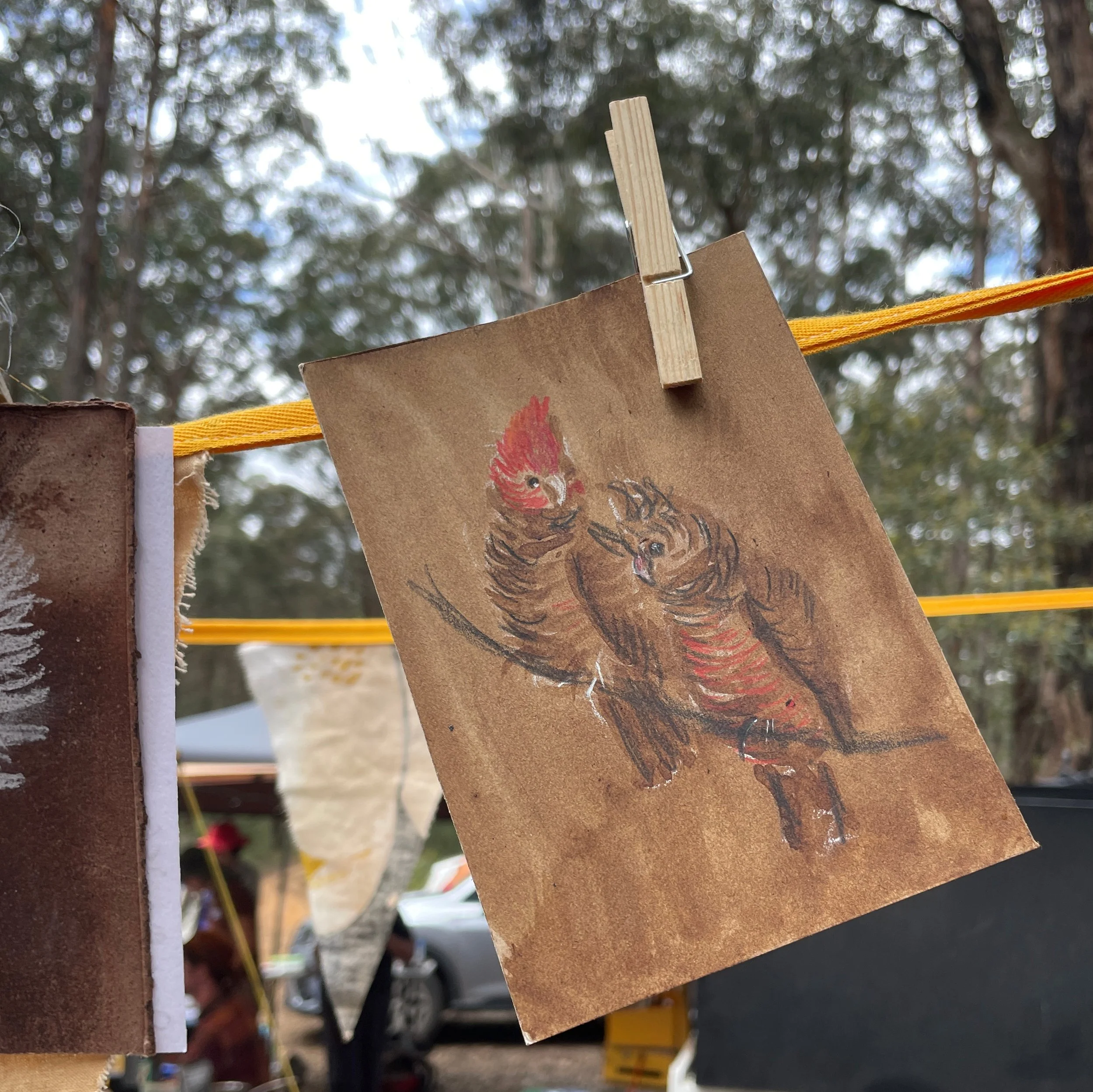 GangGangCockatoos.jpg