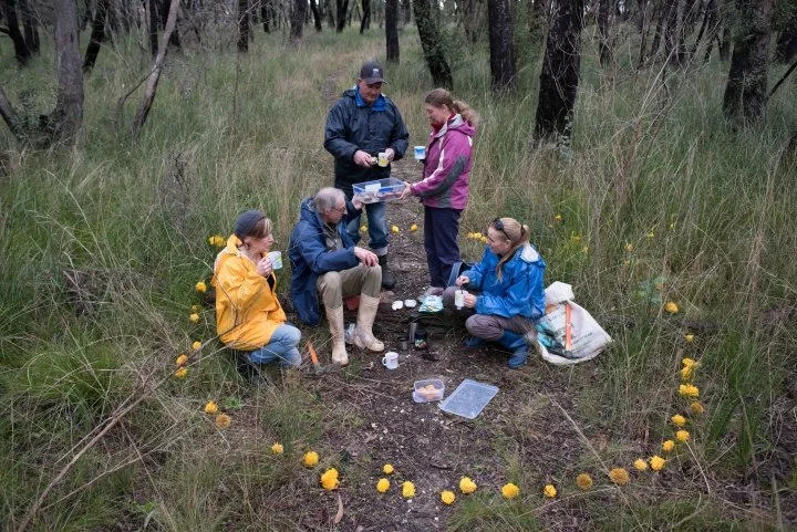 Cuppa time Bungalook Creek.jpg