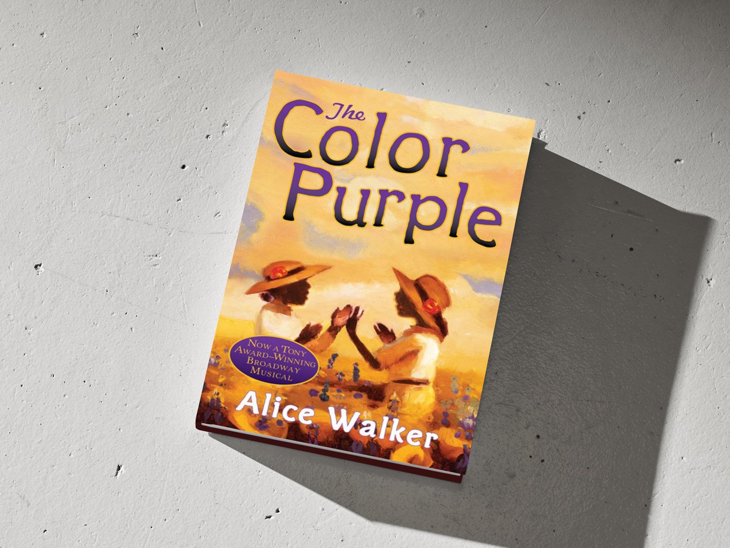 peter-sylvada-alice-walker-the-color-purple-book.jpg