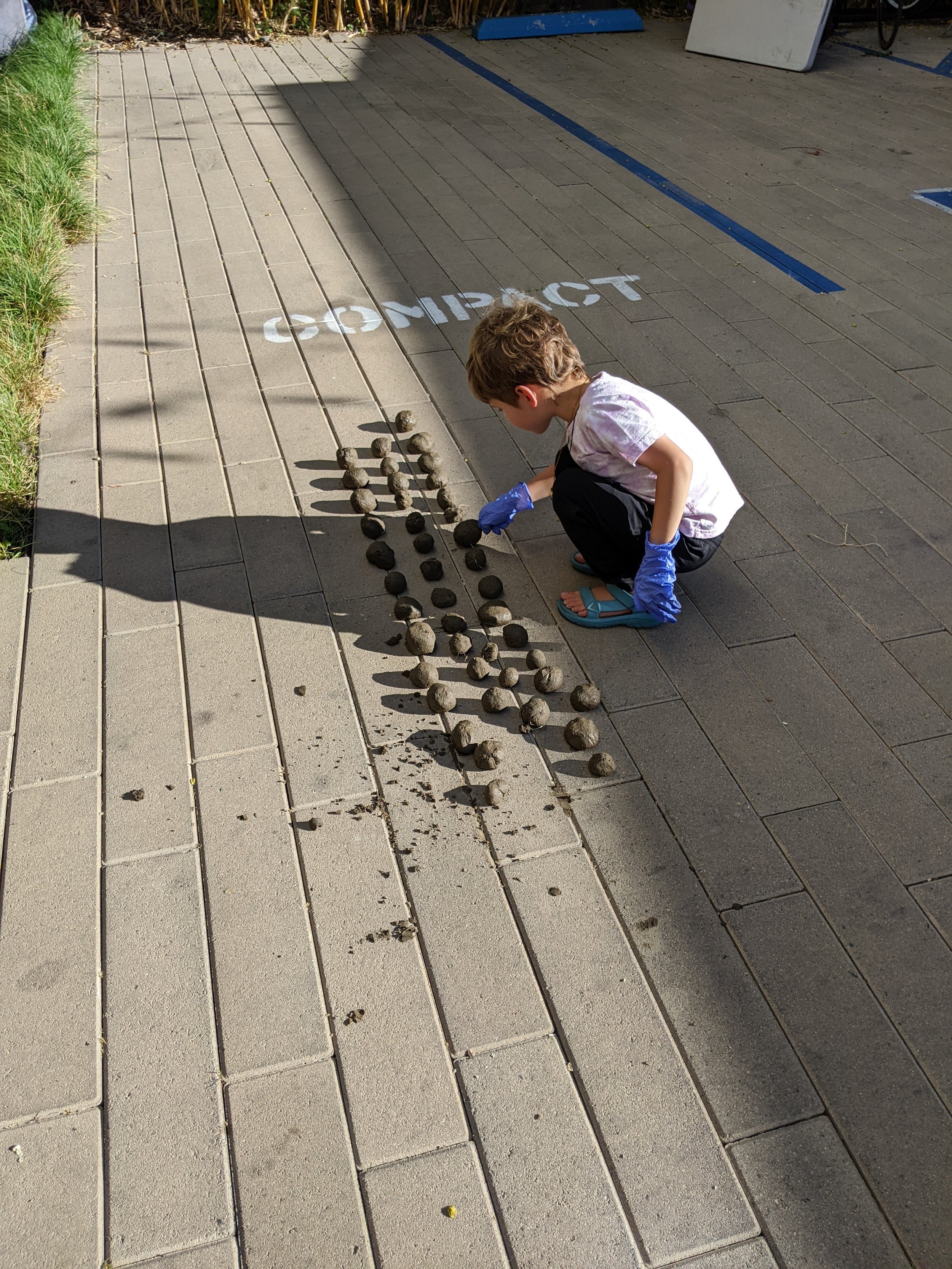 A compact participant arranges seed bombs. /Photo: Jenna Didier