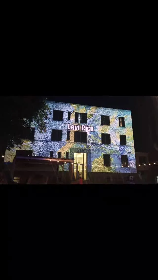 A glimpse from the inauguration of PACT(Projection, Architecture, Concertation and Theatre ) - a unique initiative realized by @concertation_vecsp in collaboration with Groupe Paradoxe . I am grateful for the opportunity to share my art in such a won