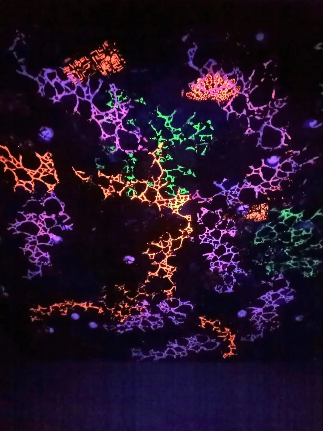 Close up of one of my recent UV-reactive artworks. 
What does it make you think of?

#contemporaryart #modernart #uvart #abstractpaintings #montrealartist