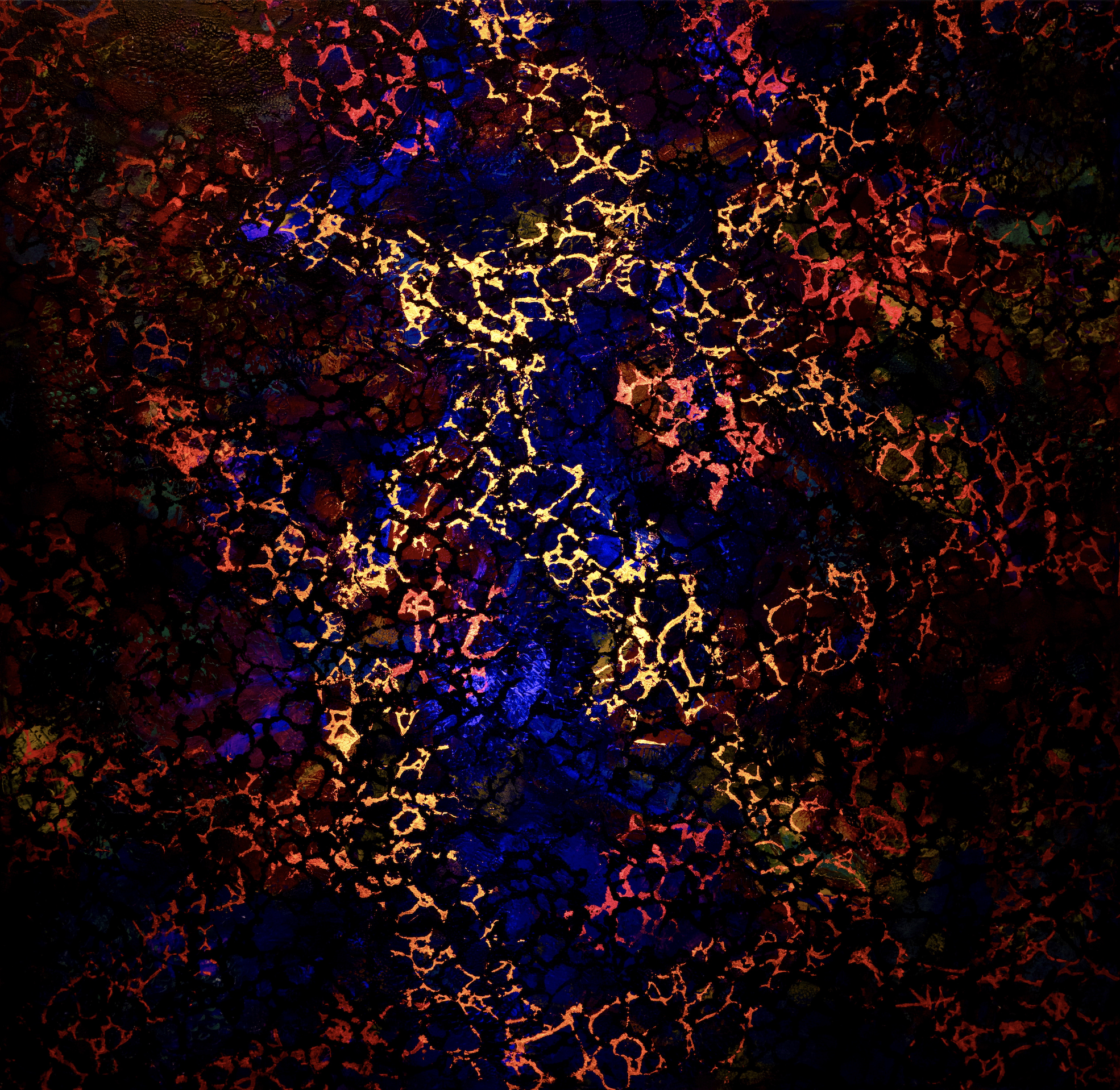 Colony (seen in UV light) - 48" x 48" x 2"