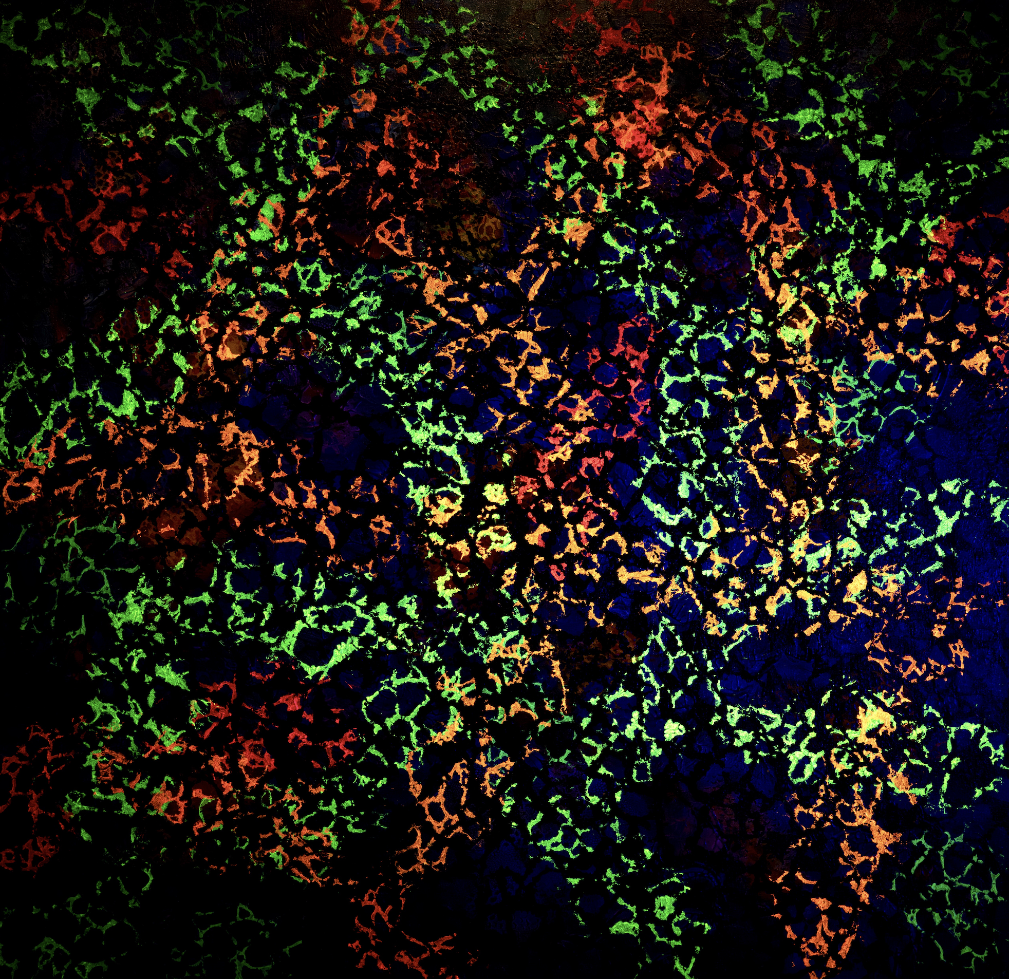 Acceptance (seen in UV light) - 48" x 48" 