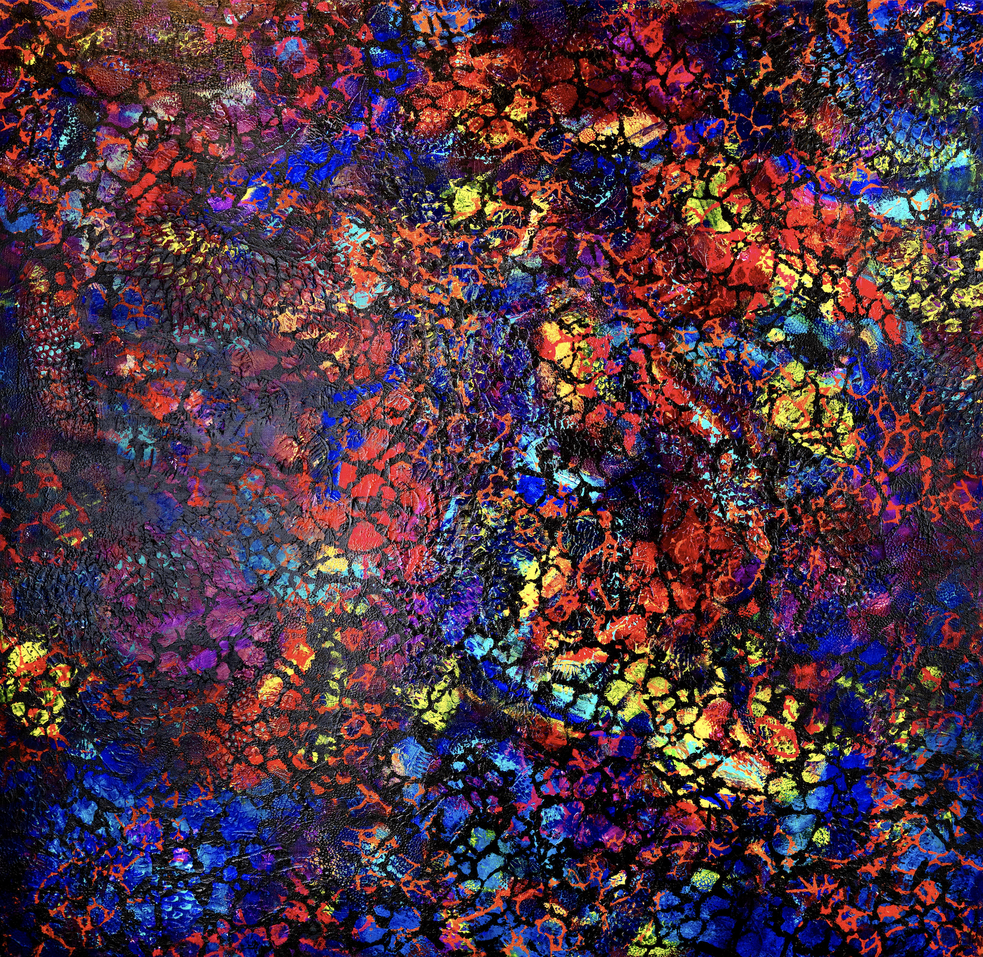 Colony - 48" x 48" x 2"
