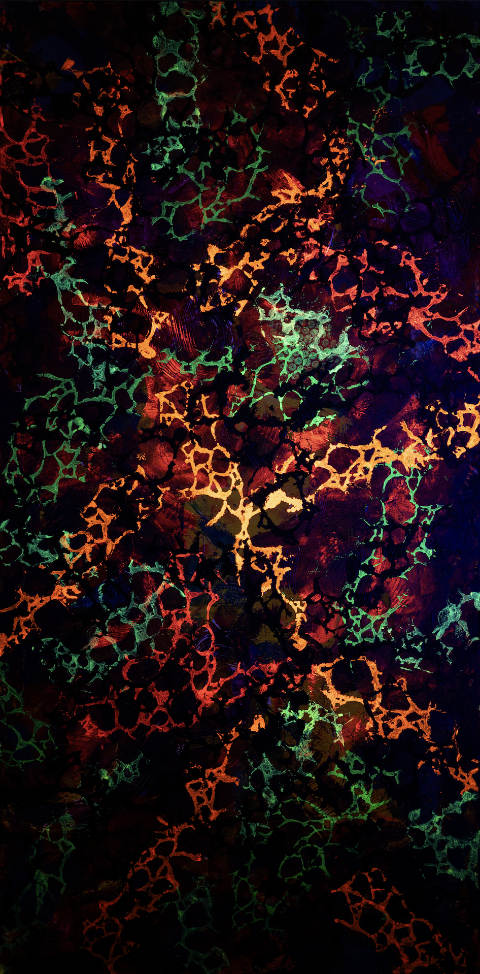 Broken (seen in UV light) - 48" x 24" x 1"
