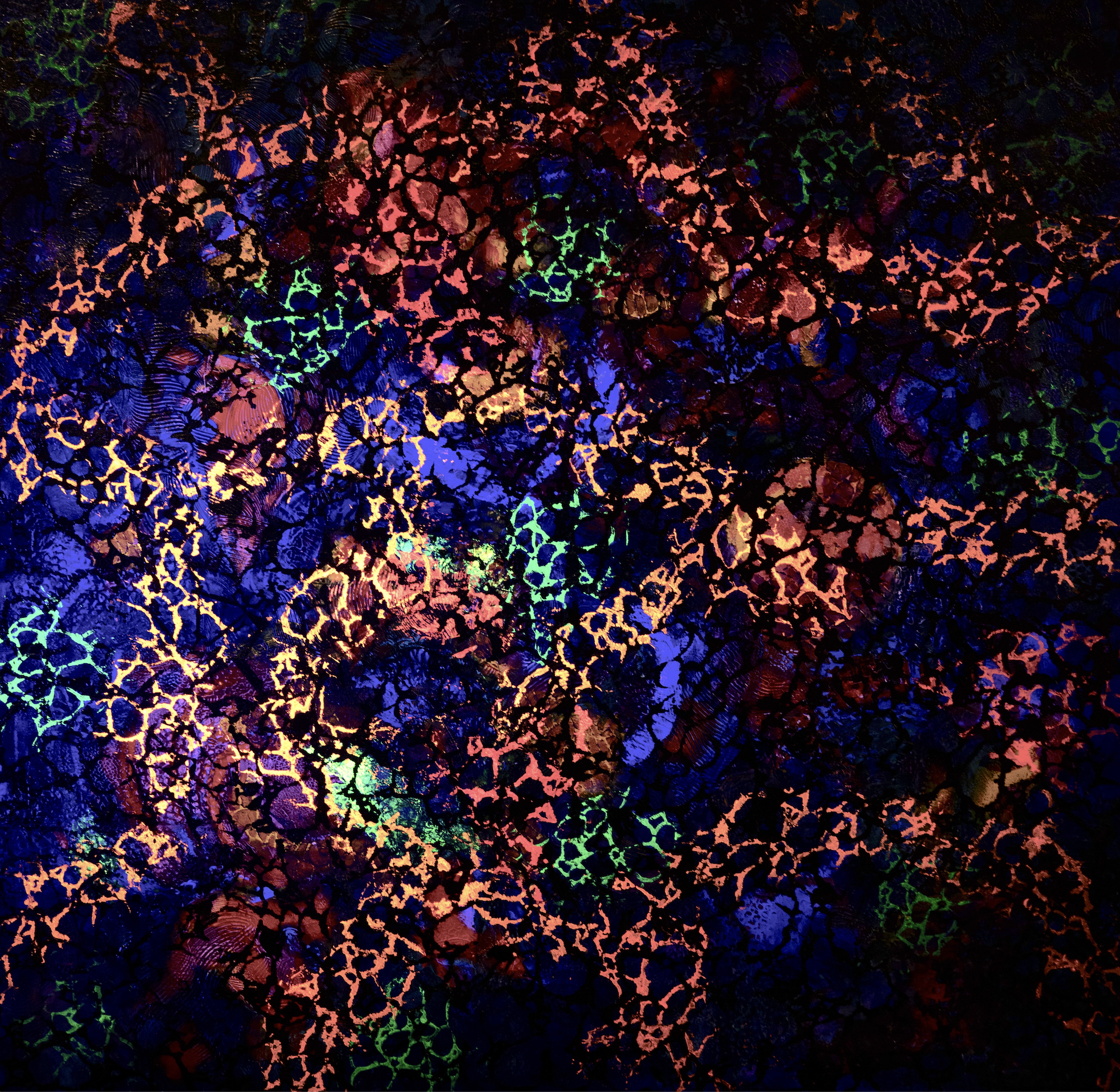 Infiltration (seen in UV light) - 48" x 48" x 2"