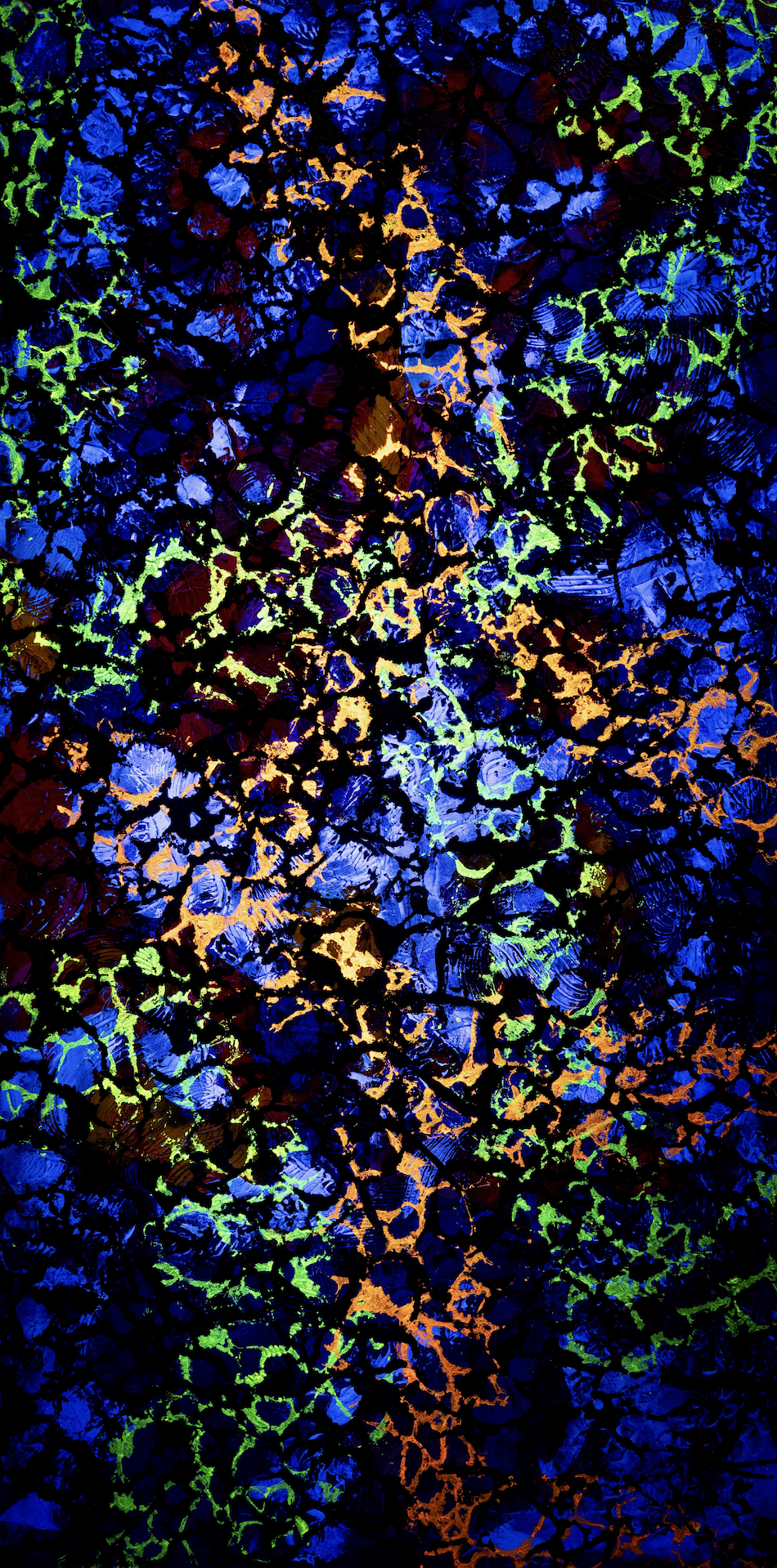 Breach (seen in UV light) - 48" x 24" x 1"