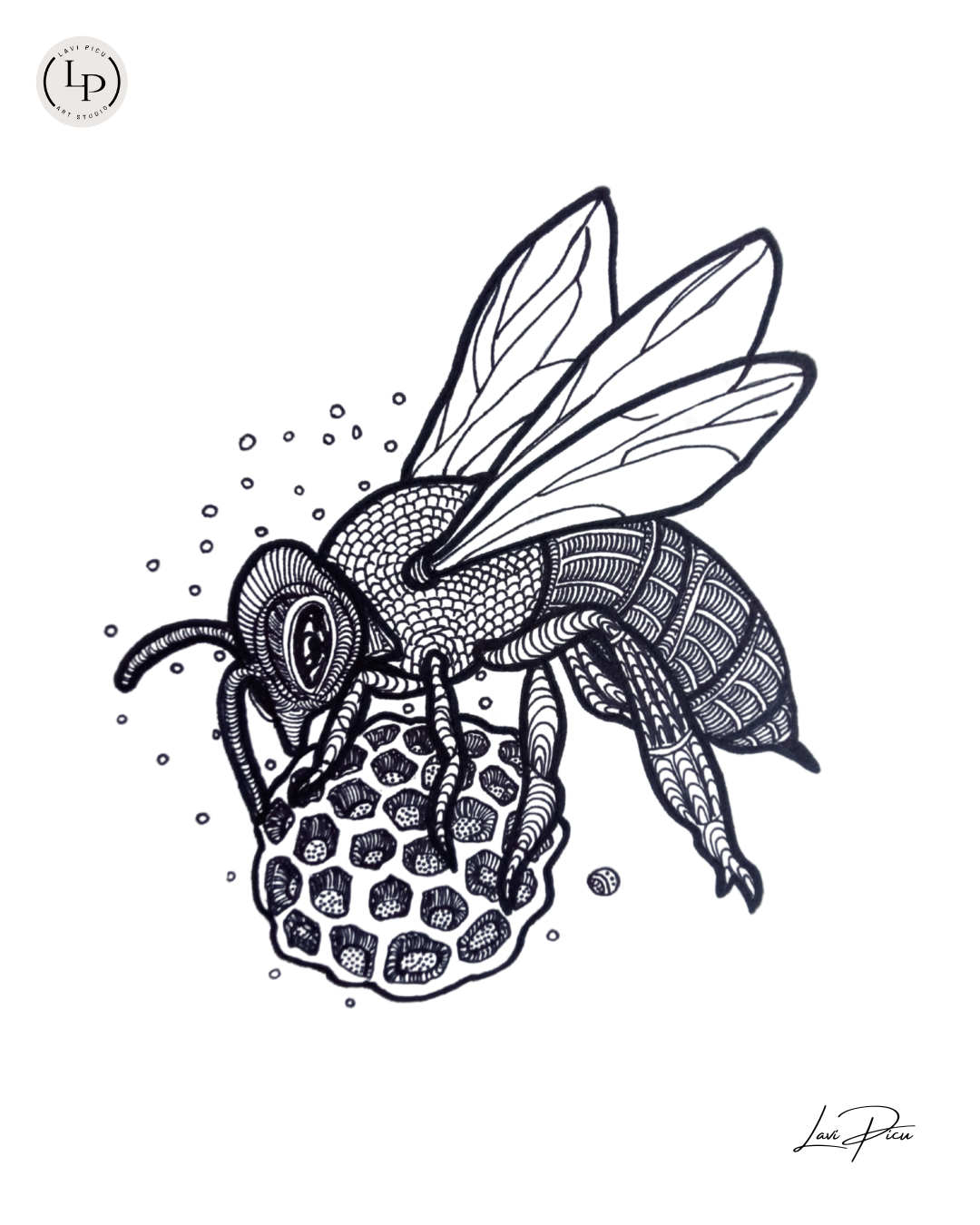 Honeybee_Lavi Picu.png