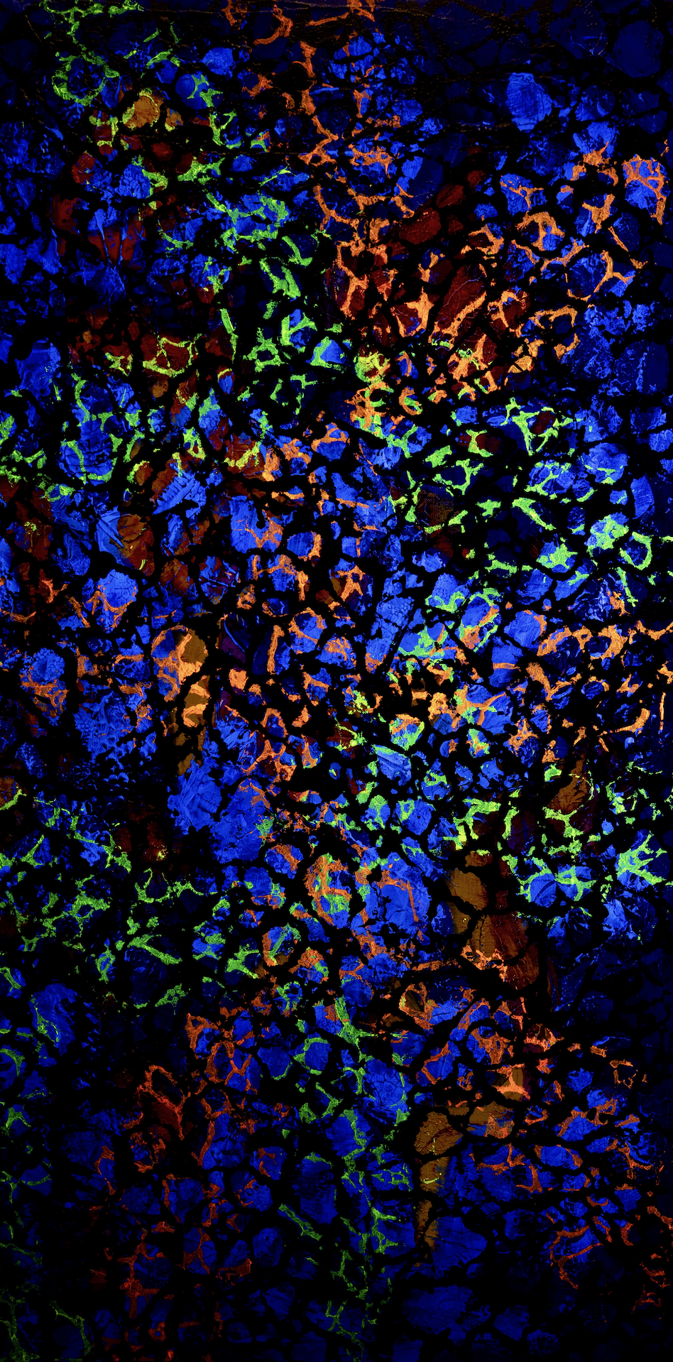 Lost Signal (seen in UV light) - 48" x 24" x 1"