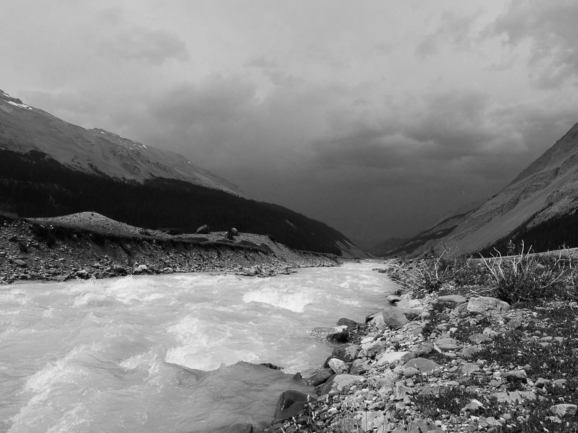 Landscape-13.jpg