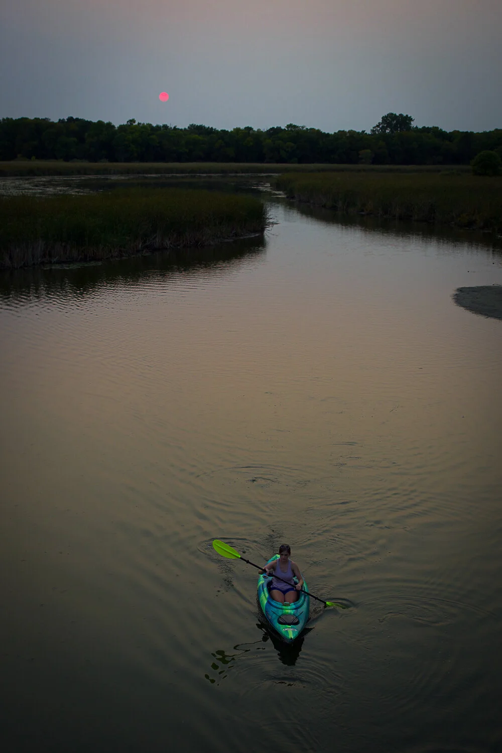 MN State Fair Entrie 2021-5.jpg