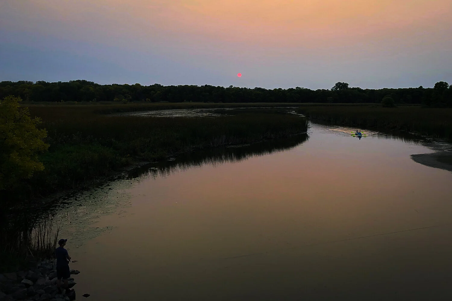 MN State Fair Entries 2021-8.jpg