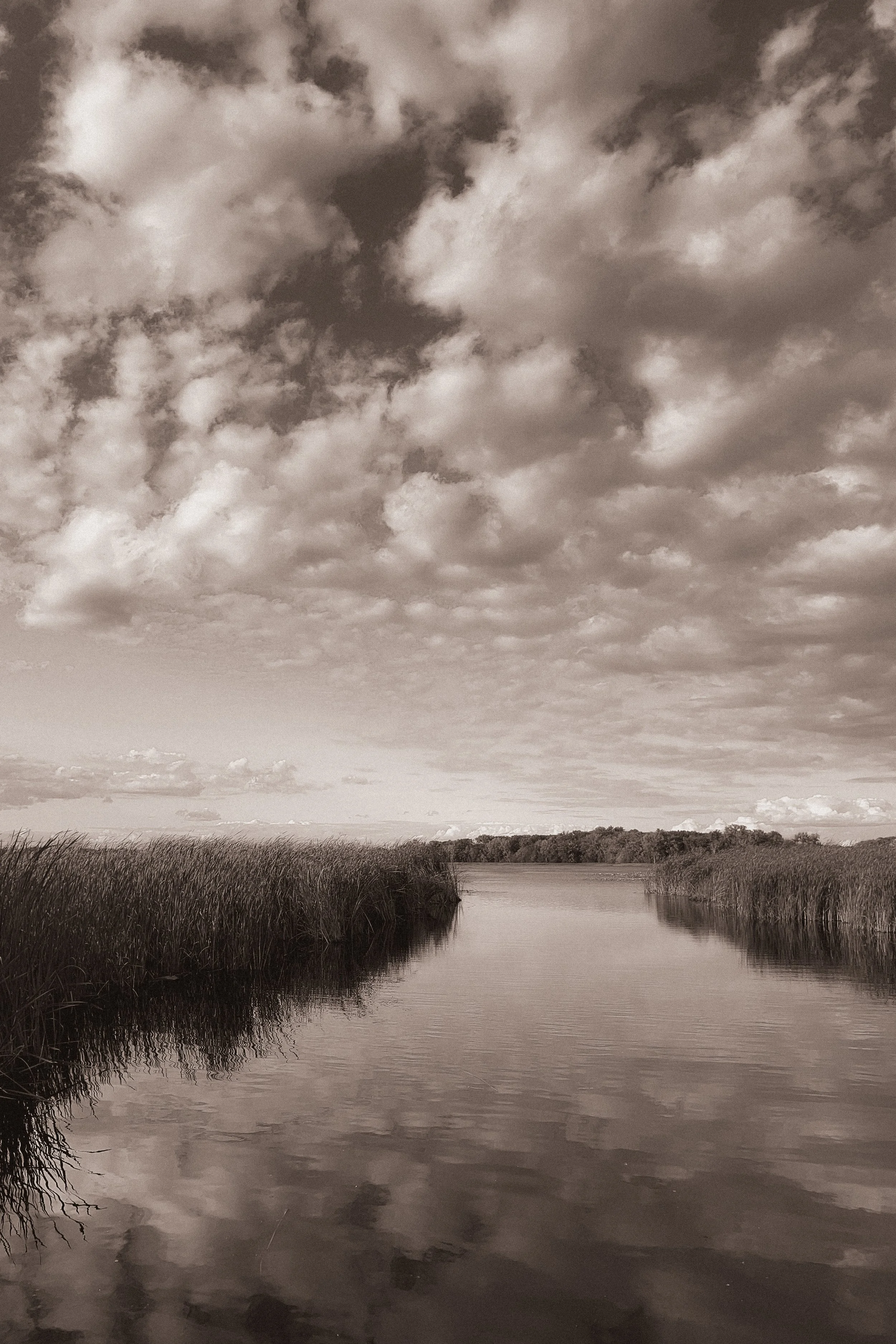 Website Landscape Otter Lake_.jpg