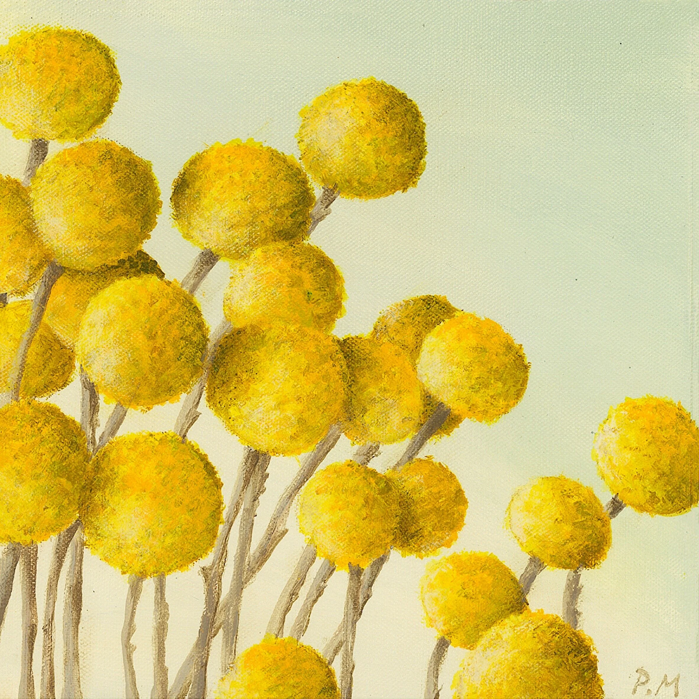 Betty Button - 20x20cm Acrylic on Canvas