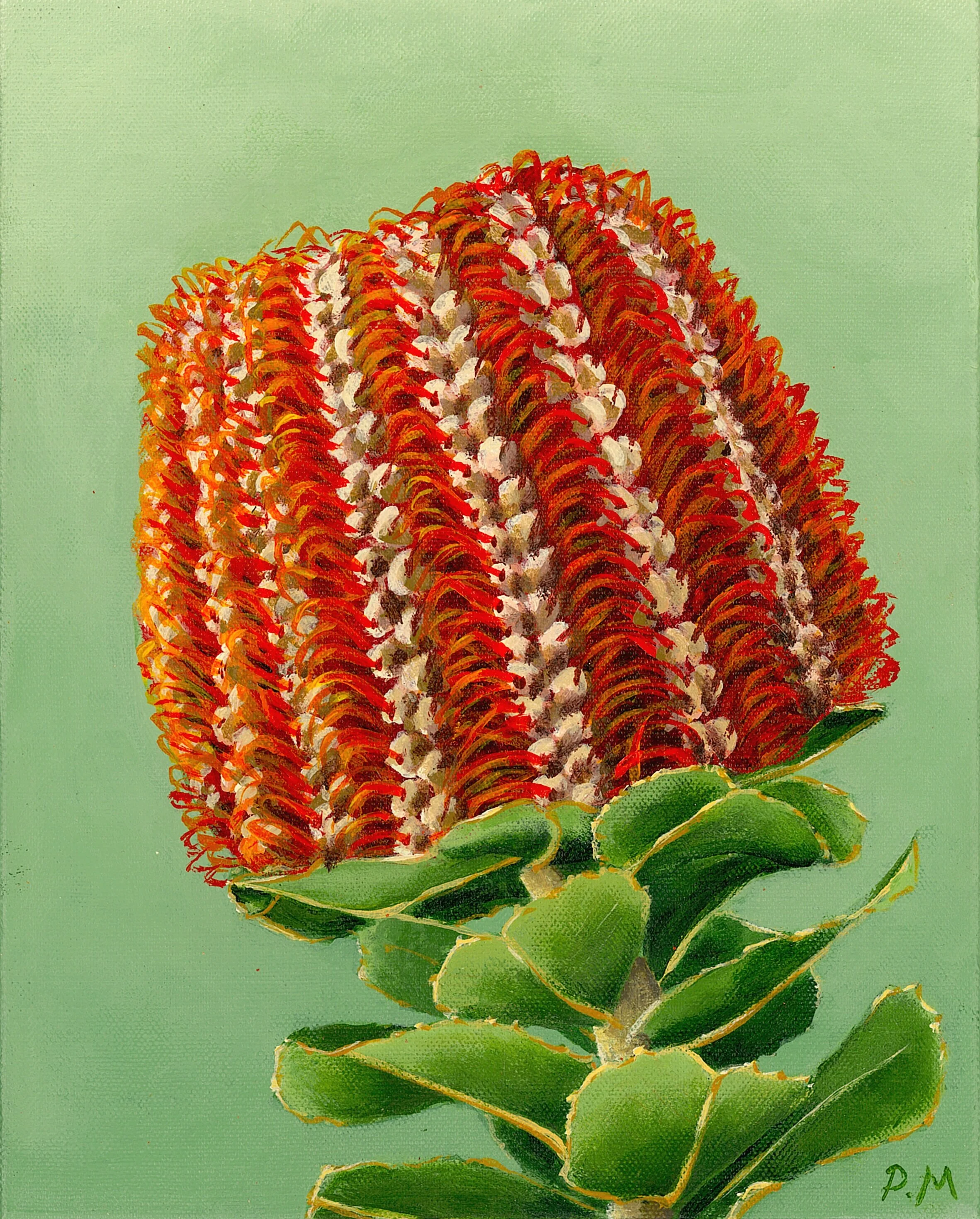 Coccinea Cutie - 25x20cm Acrylic on Canvas