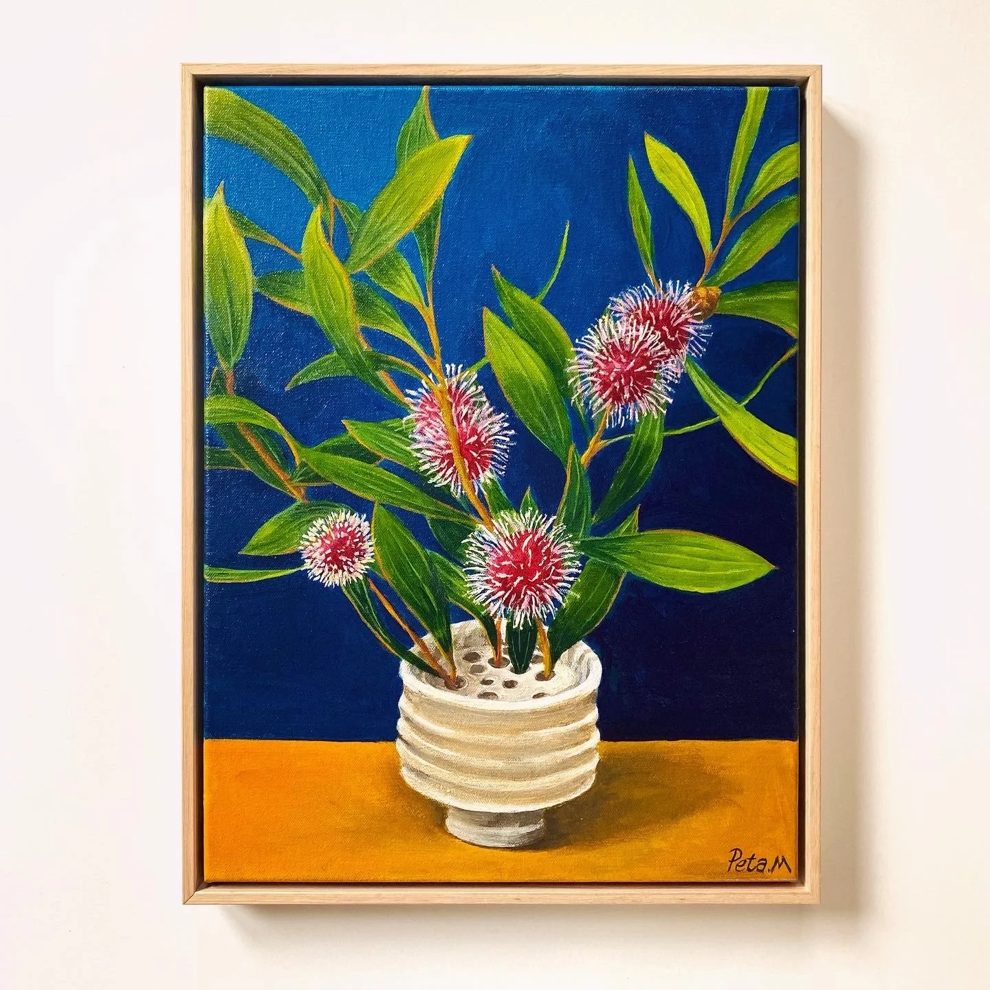 Hakea in Flux
