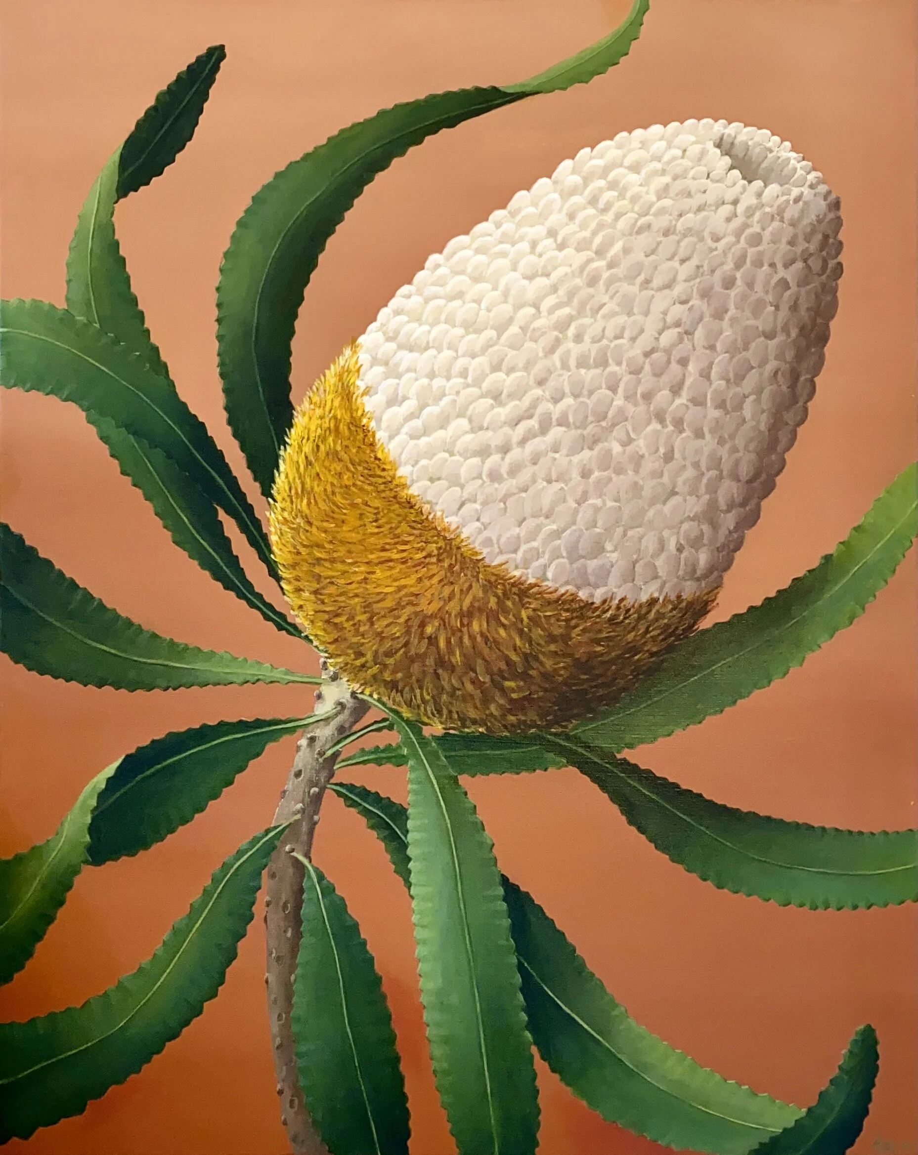 Betsy Banksia - 102x81cm Acrylic on Canvas