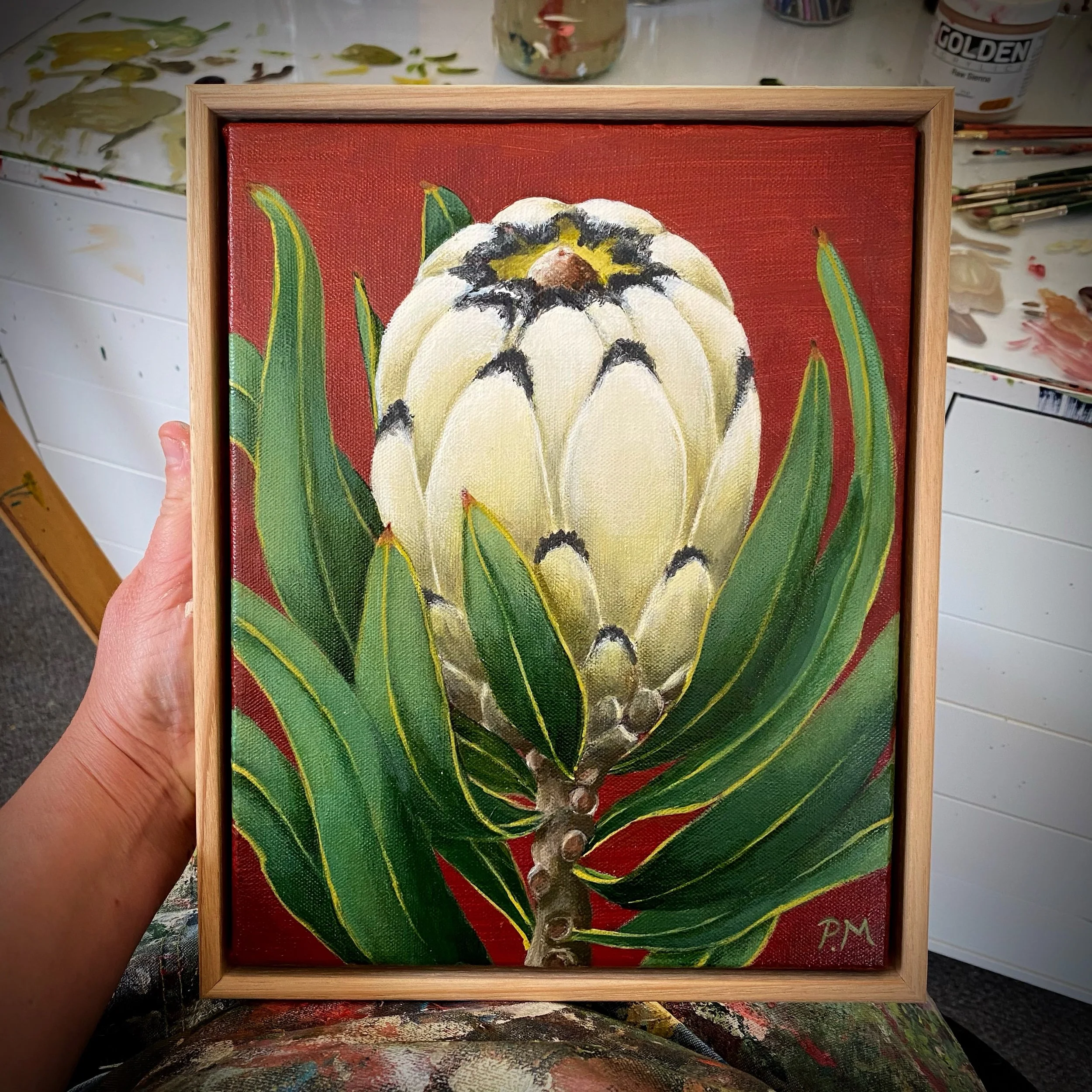 Patsy Protea 20x25cm Acrylic on Canvas